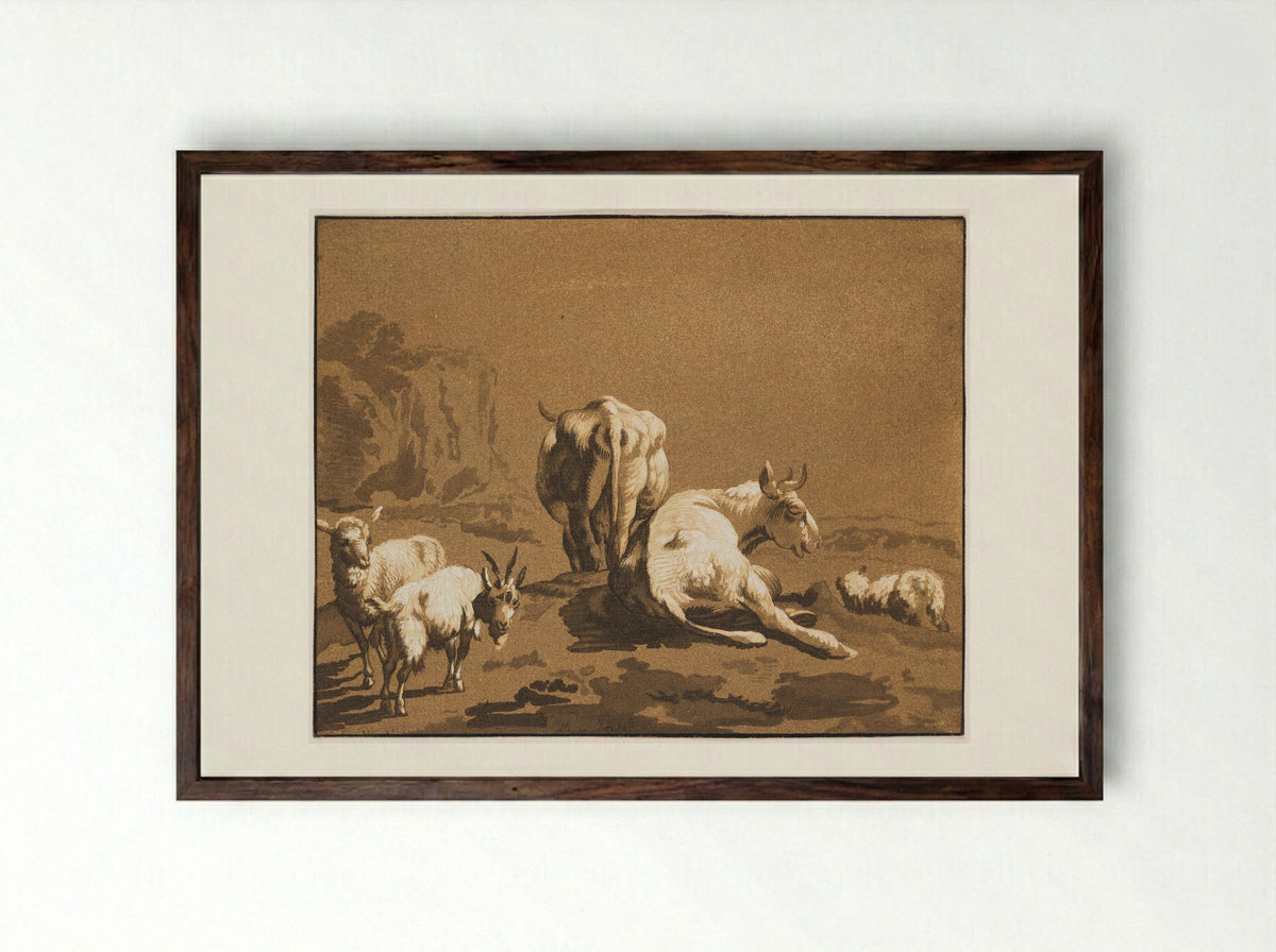 Two Cows, Two Sheep, and a Goat - Maria Catharina Prestel - Framed Print Dark Wood