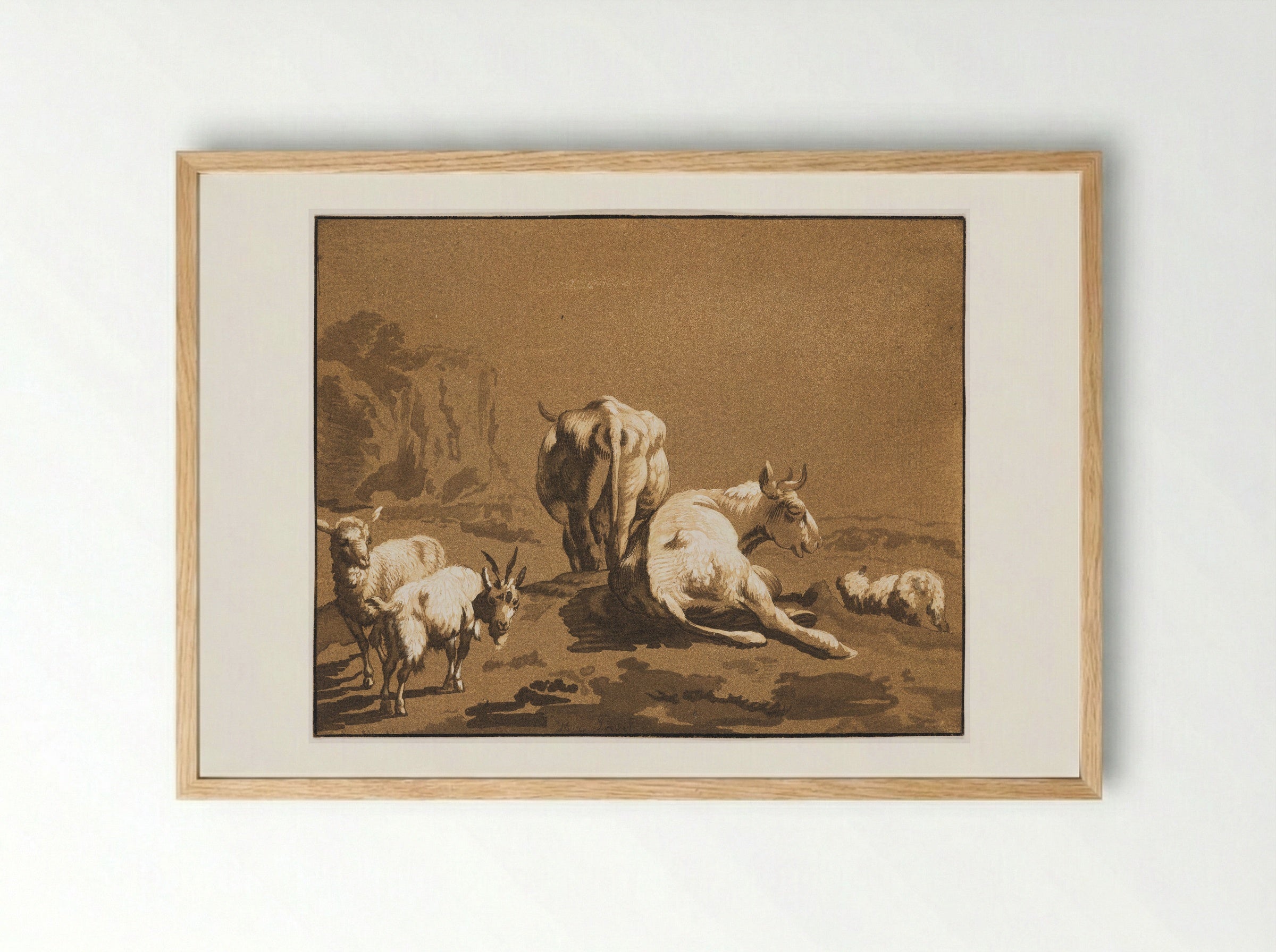 Two Cows, Two Sheep, and a Goat - Maria Catharina Prestel - Framed Print Wood