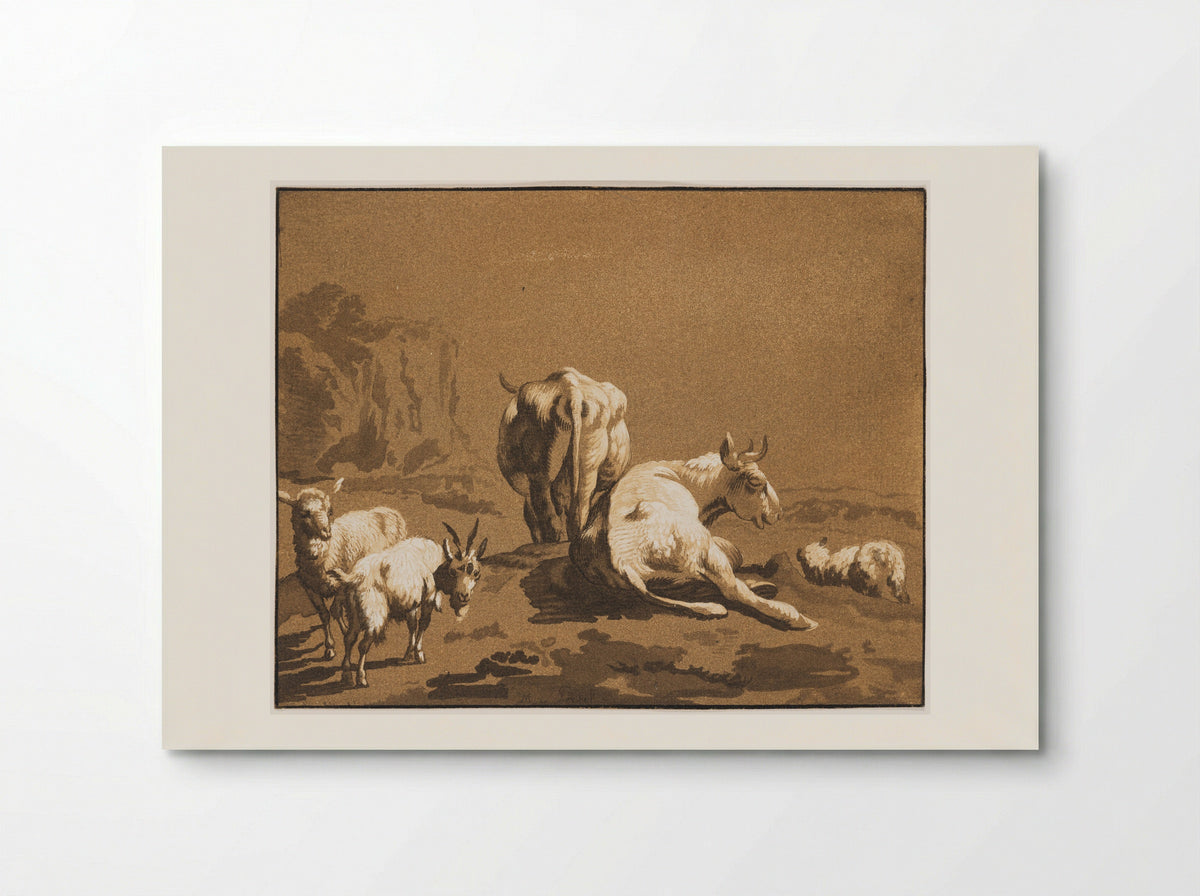 Two Cows, Two Sheep, and a Goat - Maria Catharina Prestel - Poster