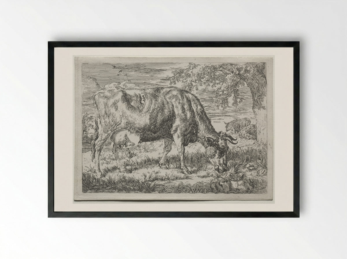 Two Cows Under a Tree - Adriaen van de Velde - Framed Print Black