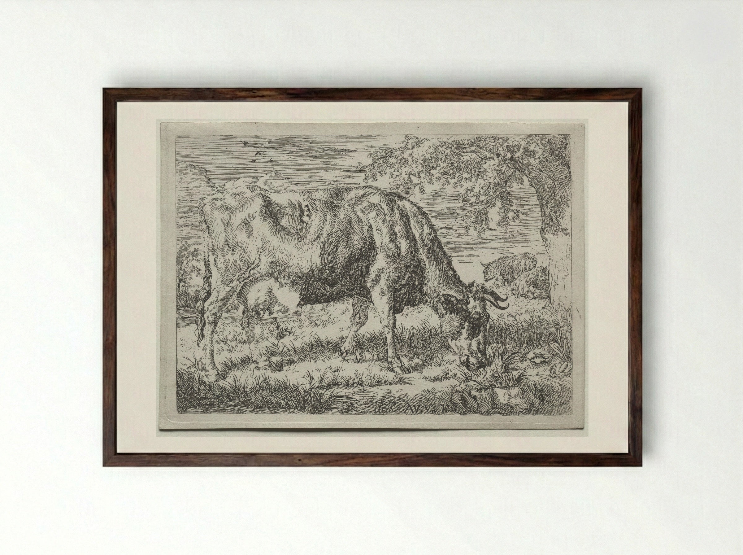 Two Cows Under a Tree - Adriaen van de Velde - Framed Print Dark Wood