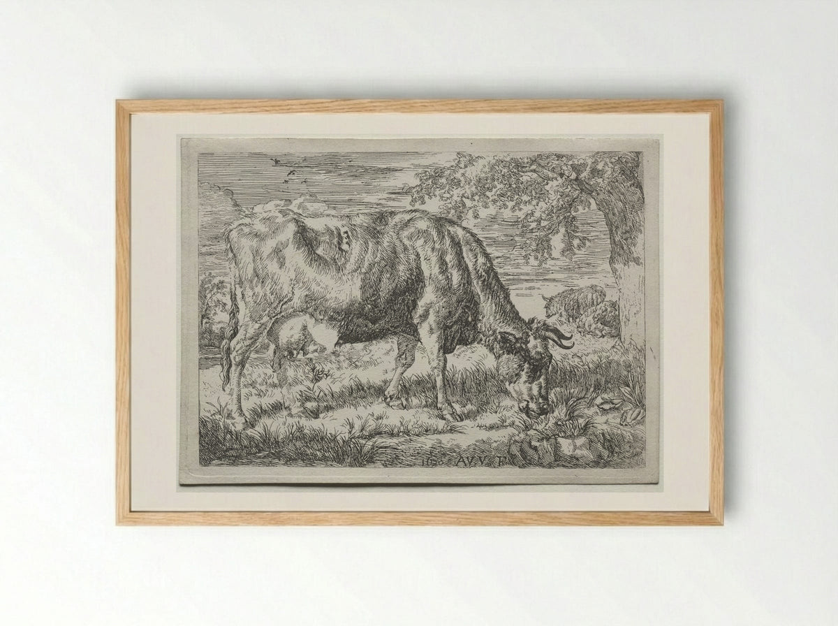 Two Cows Under a Tree - Adriaen van de Velde - Framed Print Wood