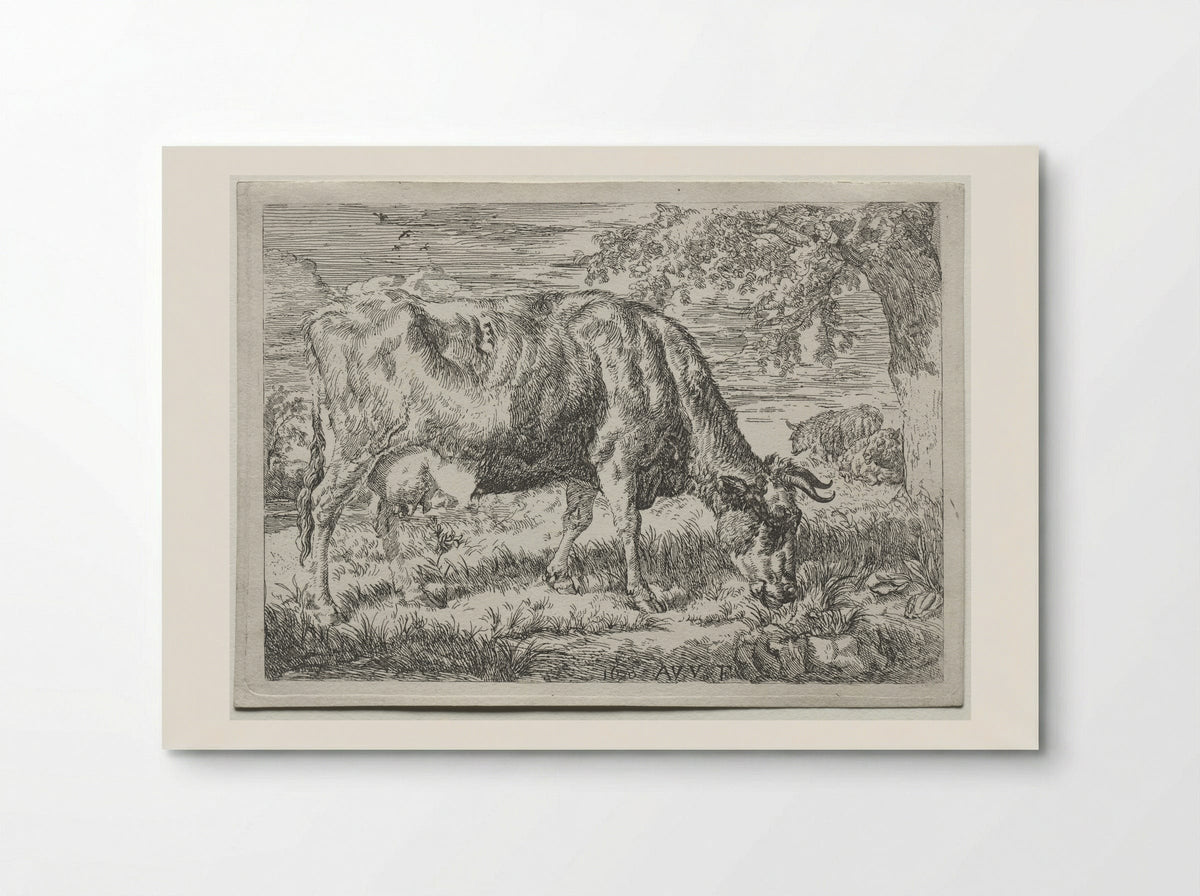 Two Cows Under a Tree - Adriaen van de Velde - Poster
