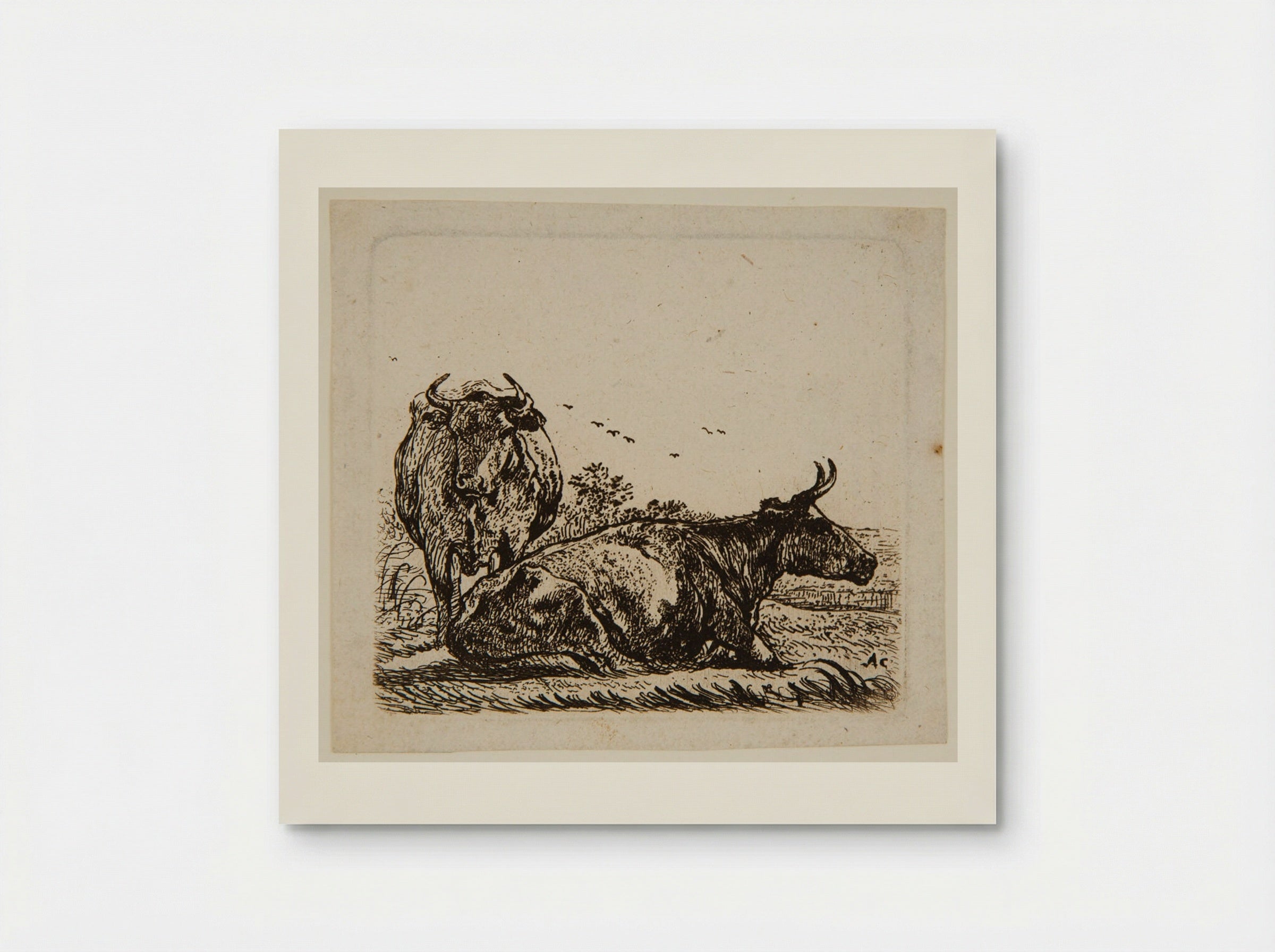Two Cows - Aelbert Cuyp - Poster