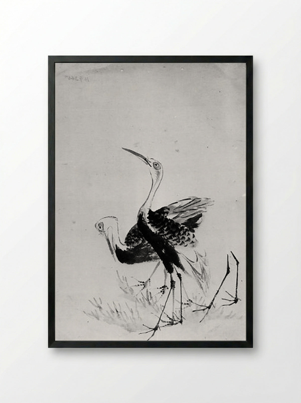 Two Cranes (Ink Wash Drawing) - Hokusai School - Framed Print Black