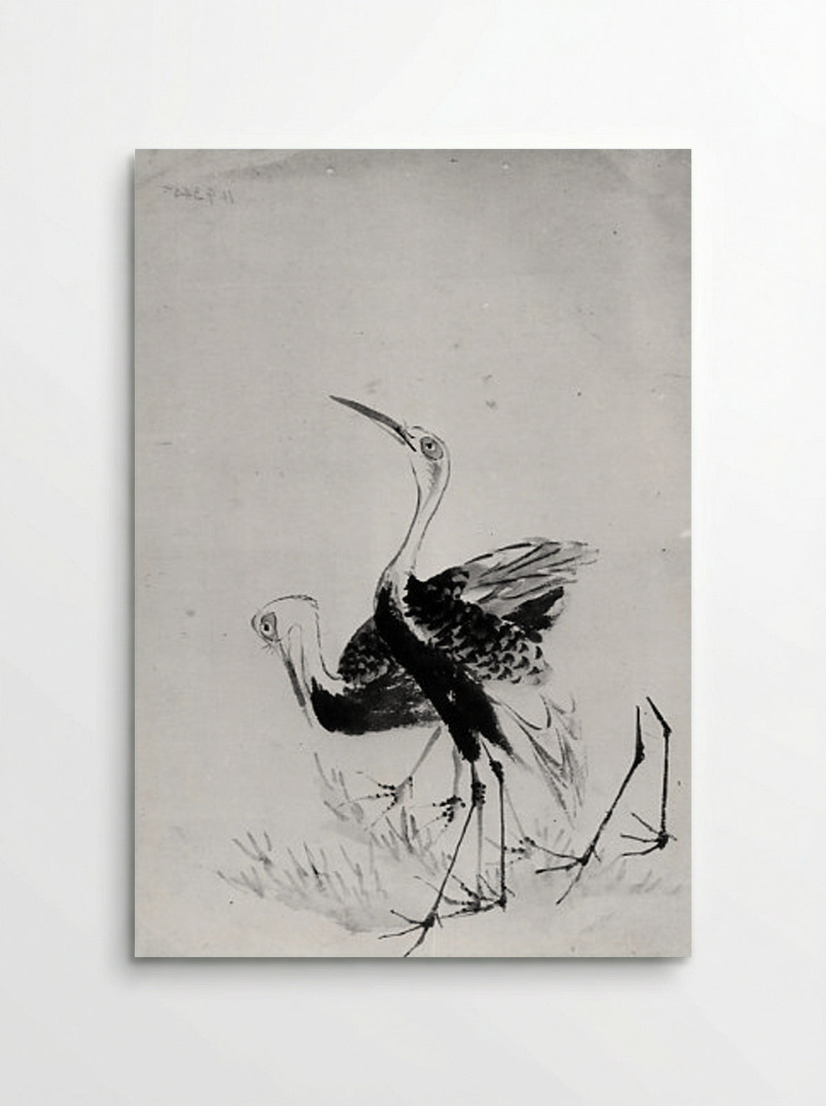 Two Cranes (Ink Wash Drawing) - Hokusai School - Poster