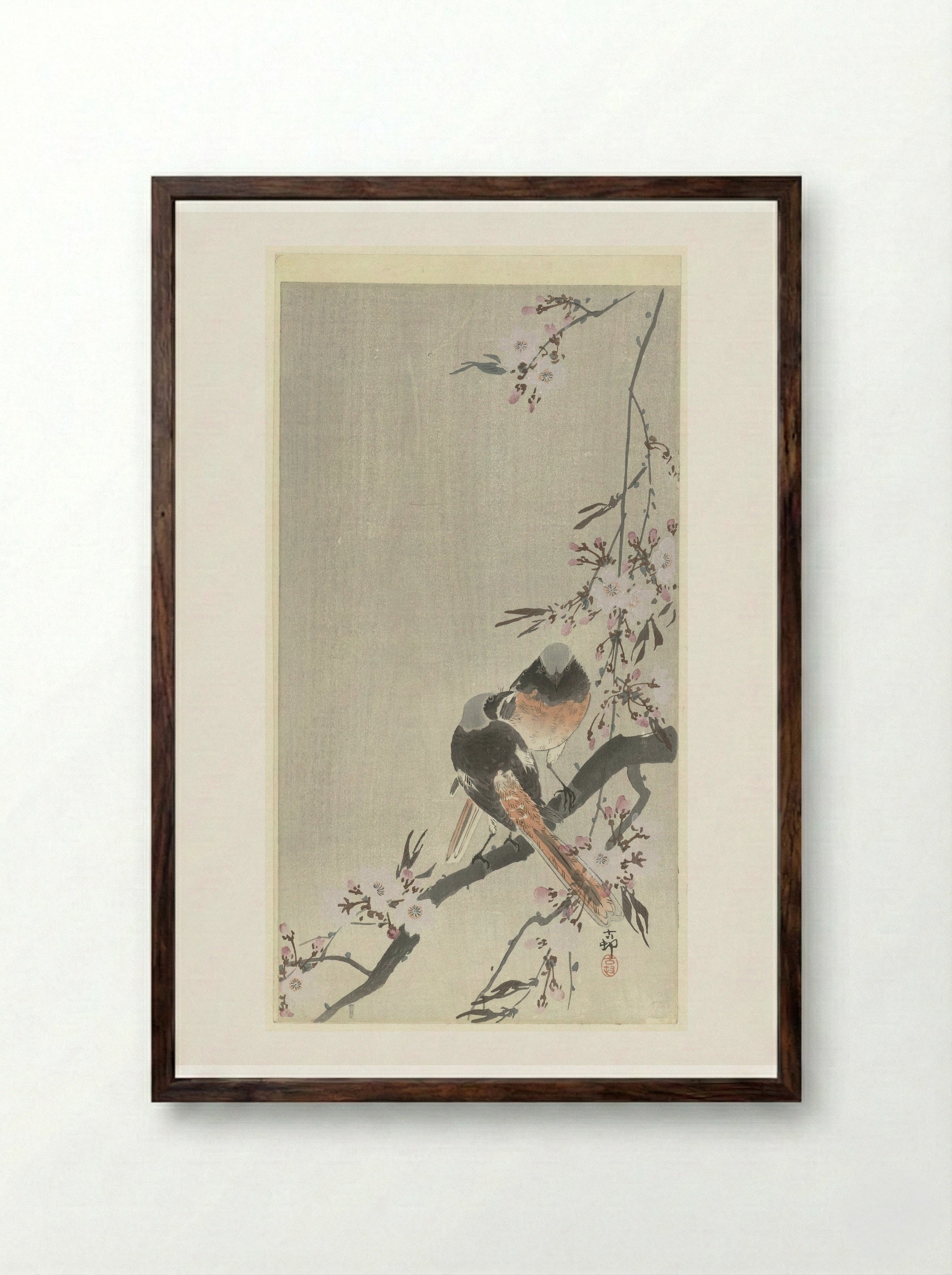 Two Daurian Redstarts with Cherry Blossoms - Matsuki Heikichi - Framed Print Dark Wood