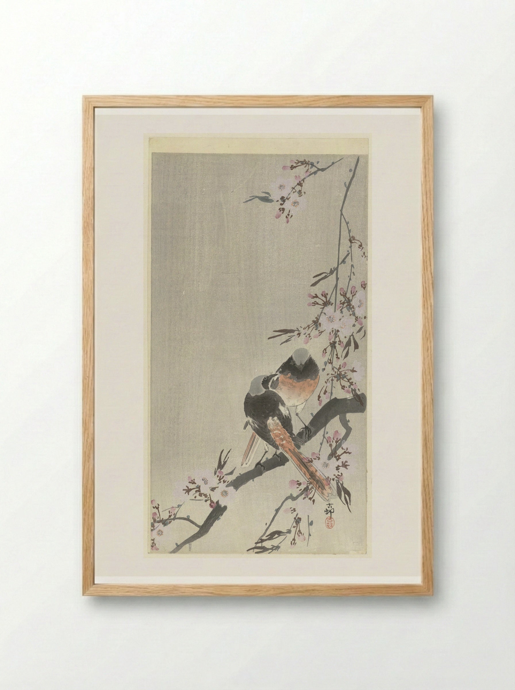 Two Daurian Redstarts with Cherry Blossoms - Matsuki Heikichi - Framed Print Wood