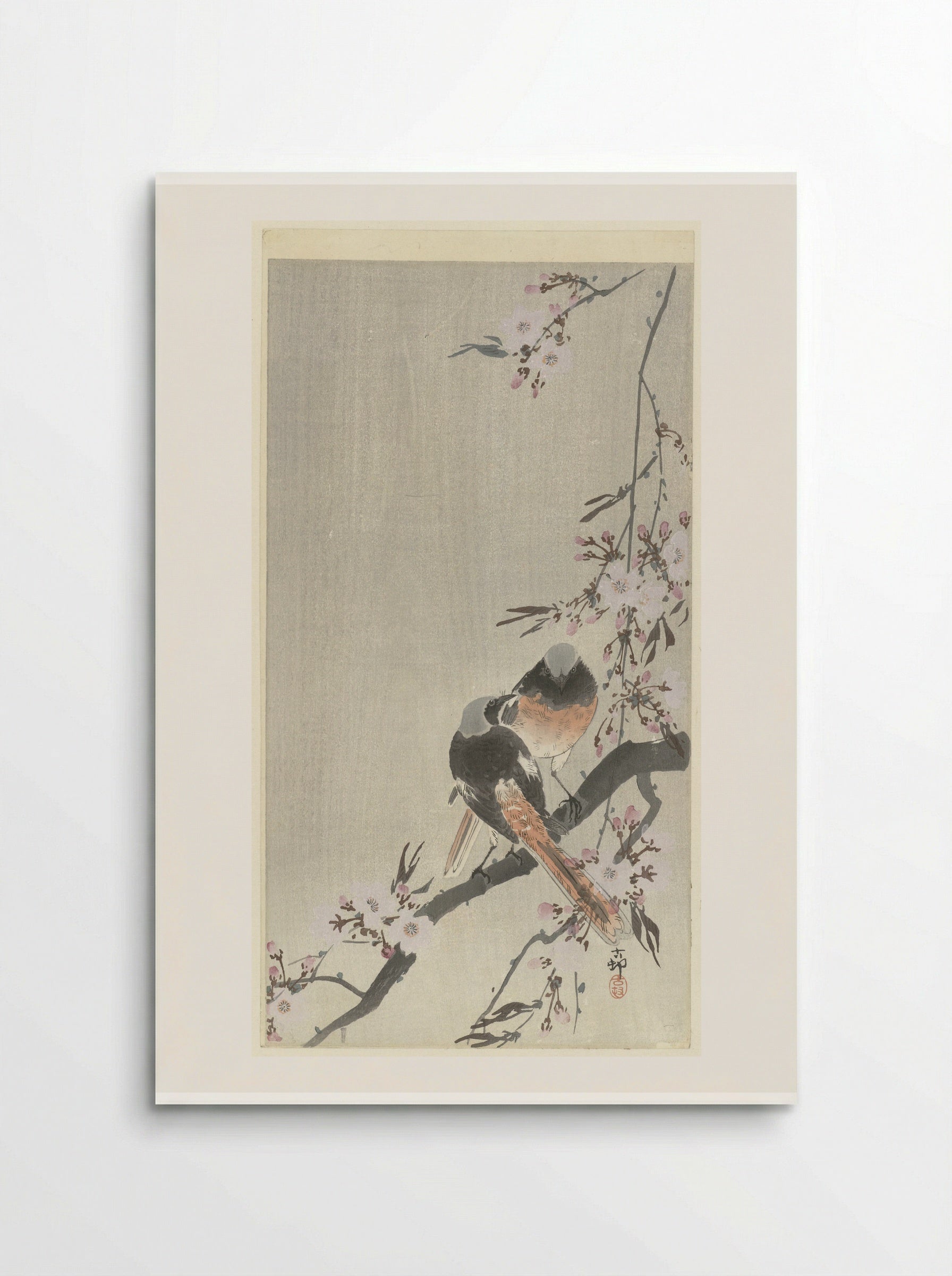 Two Daurian Redstarts with Cherry Blossoms - Matsuki Heikichi - Poster