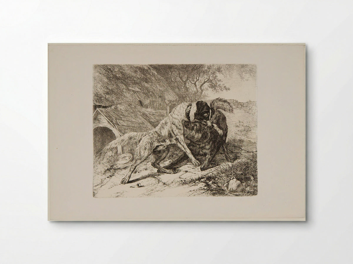 Two Dogs Fighting - Friedrich Anton Wolff - Poster