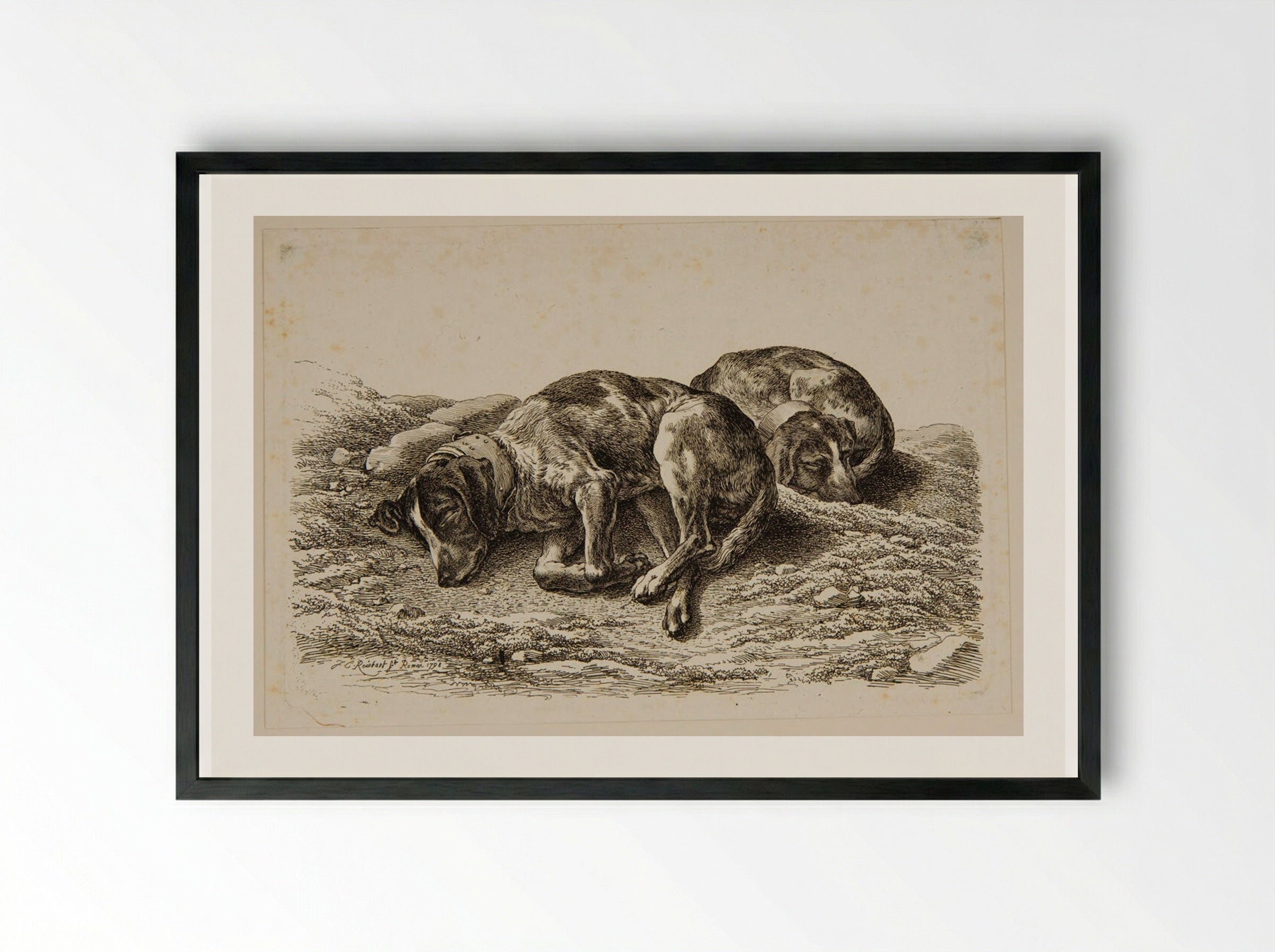 Two Dogs Sleeping - Johann Christian Reinhart - Framed Print Black