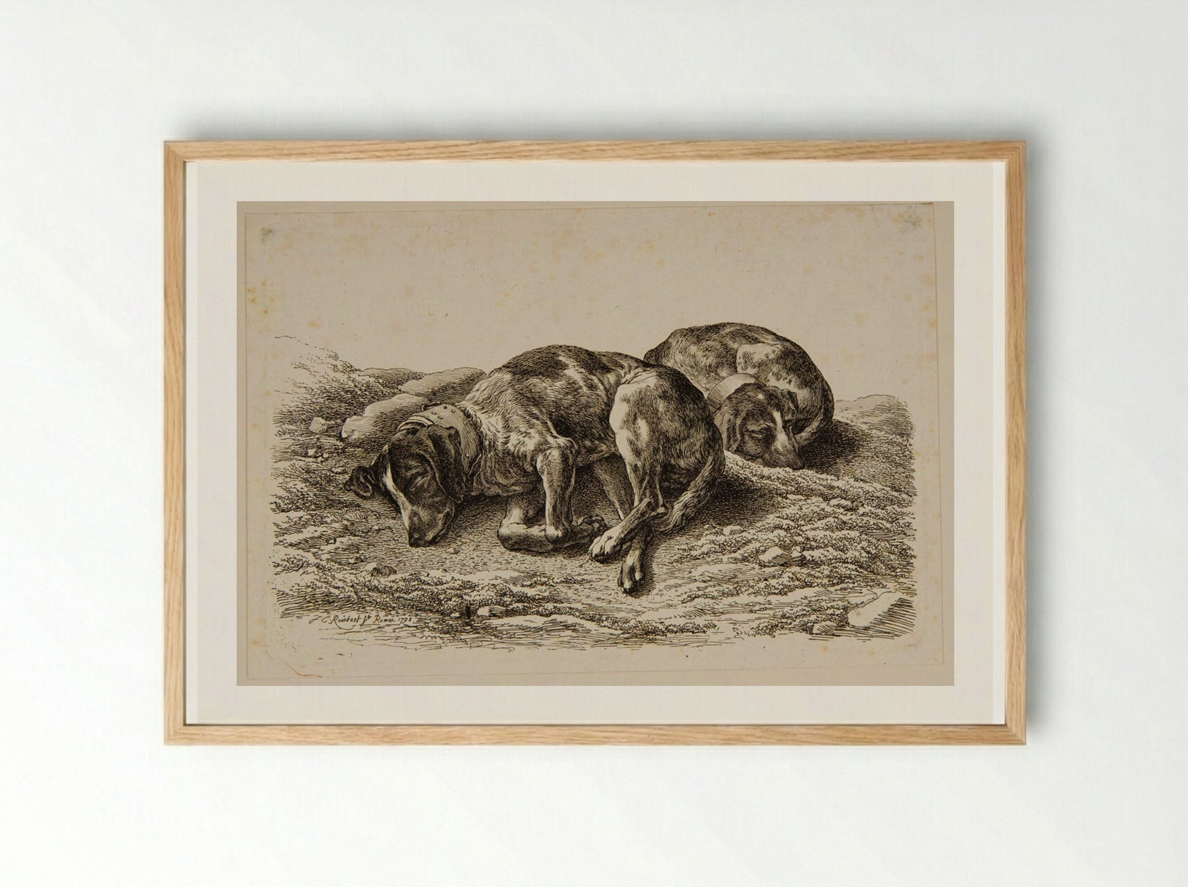 Two Dogs Sleeping - Johann Christian Reinhart - Framed Print Wood