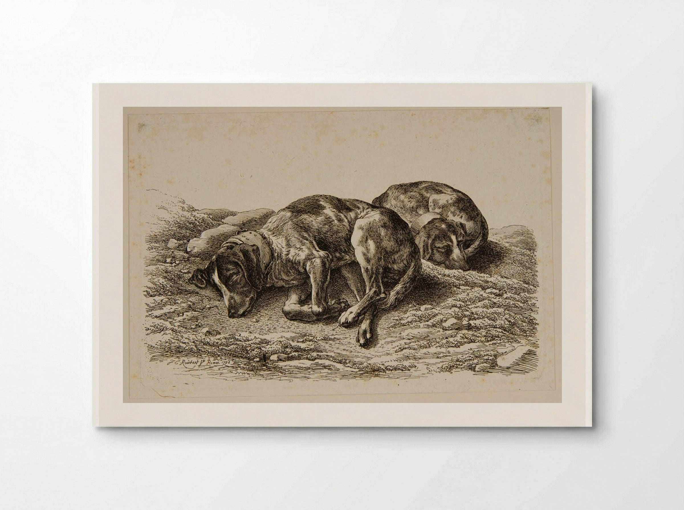 Two Dogs Sleeping - Johann Christian Reinhart - Poster