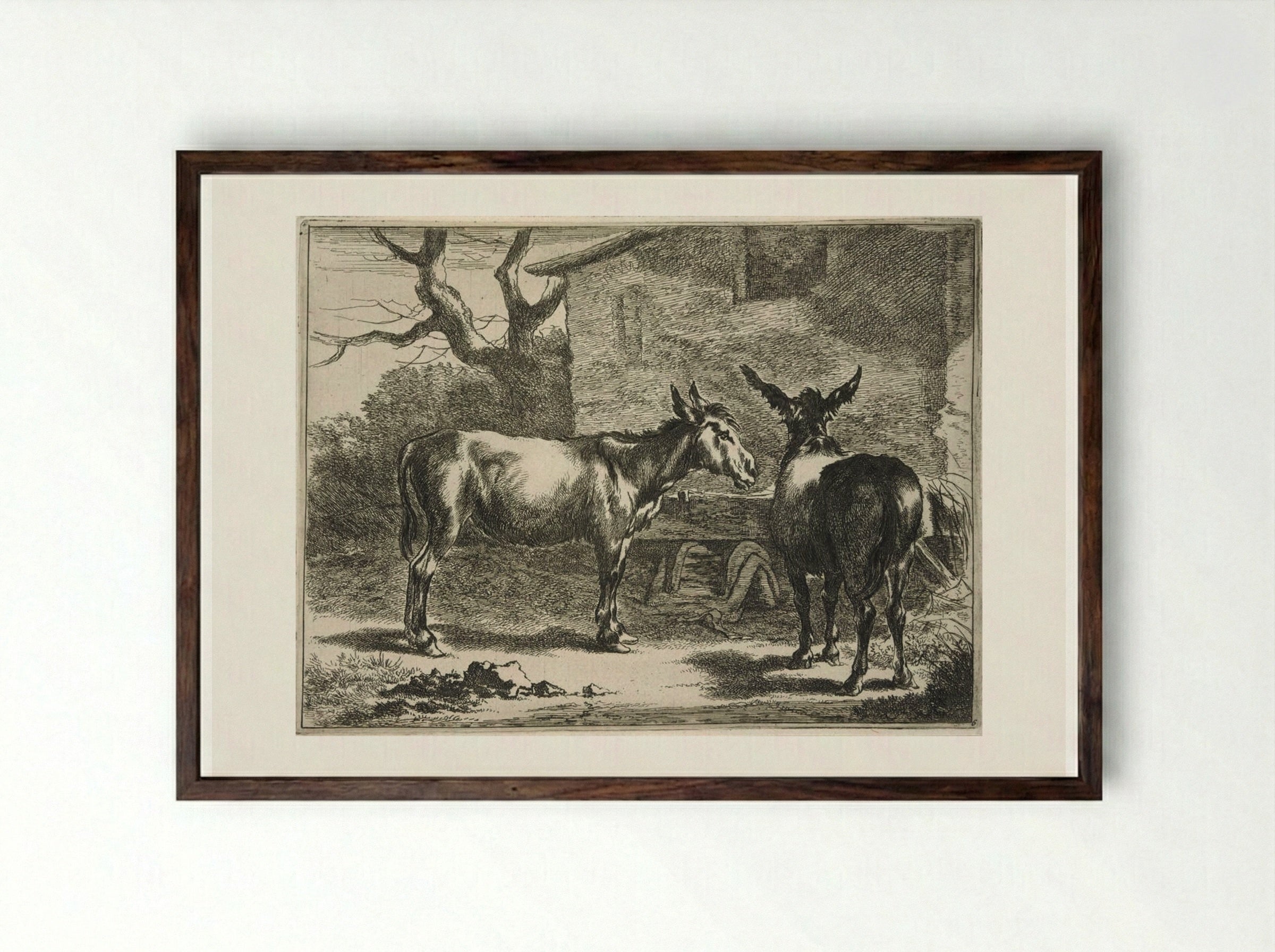 Two Donkeys at a Trough - Johannes Visscher - Framed Print Dark Wood