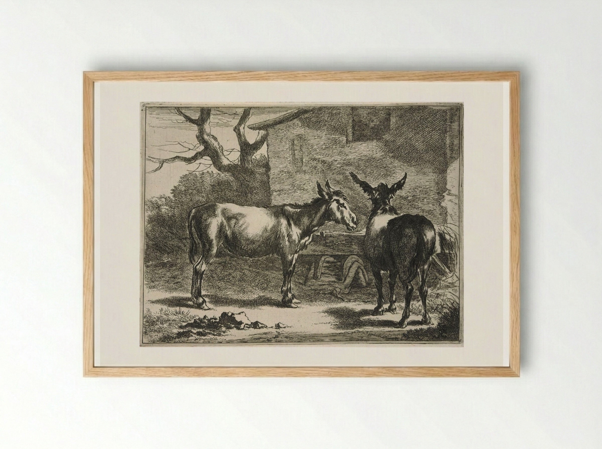Two Donkeys at a Trough - Johannes Visscher - Framed Print Wood