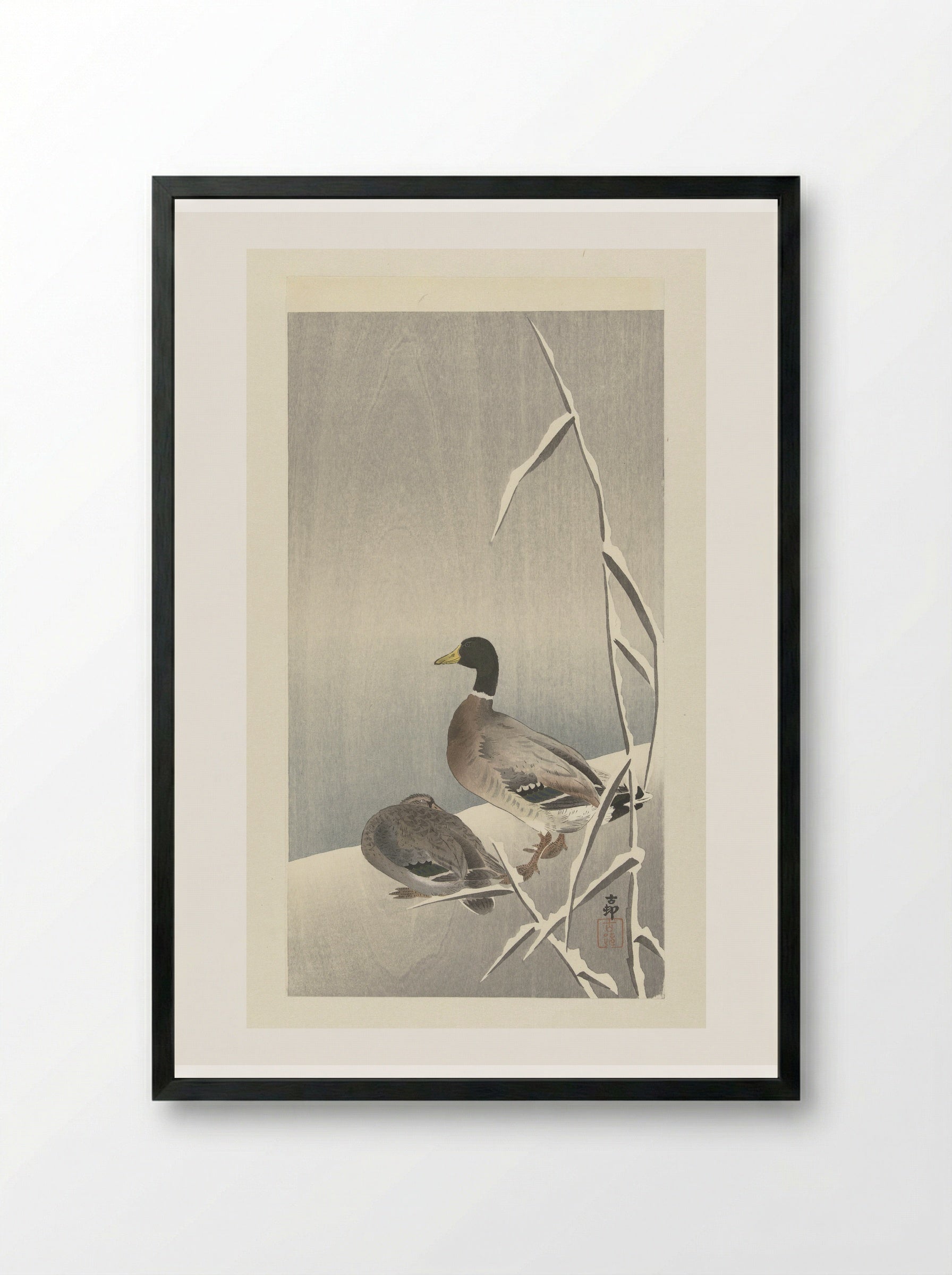 Two Ducks on a Snowy Reed Bank - Matsuki Heikichi - Framed Print Black