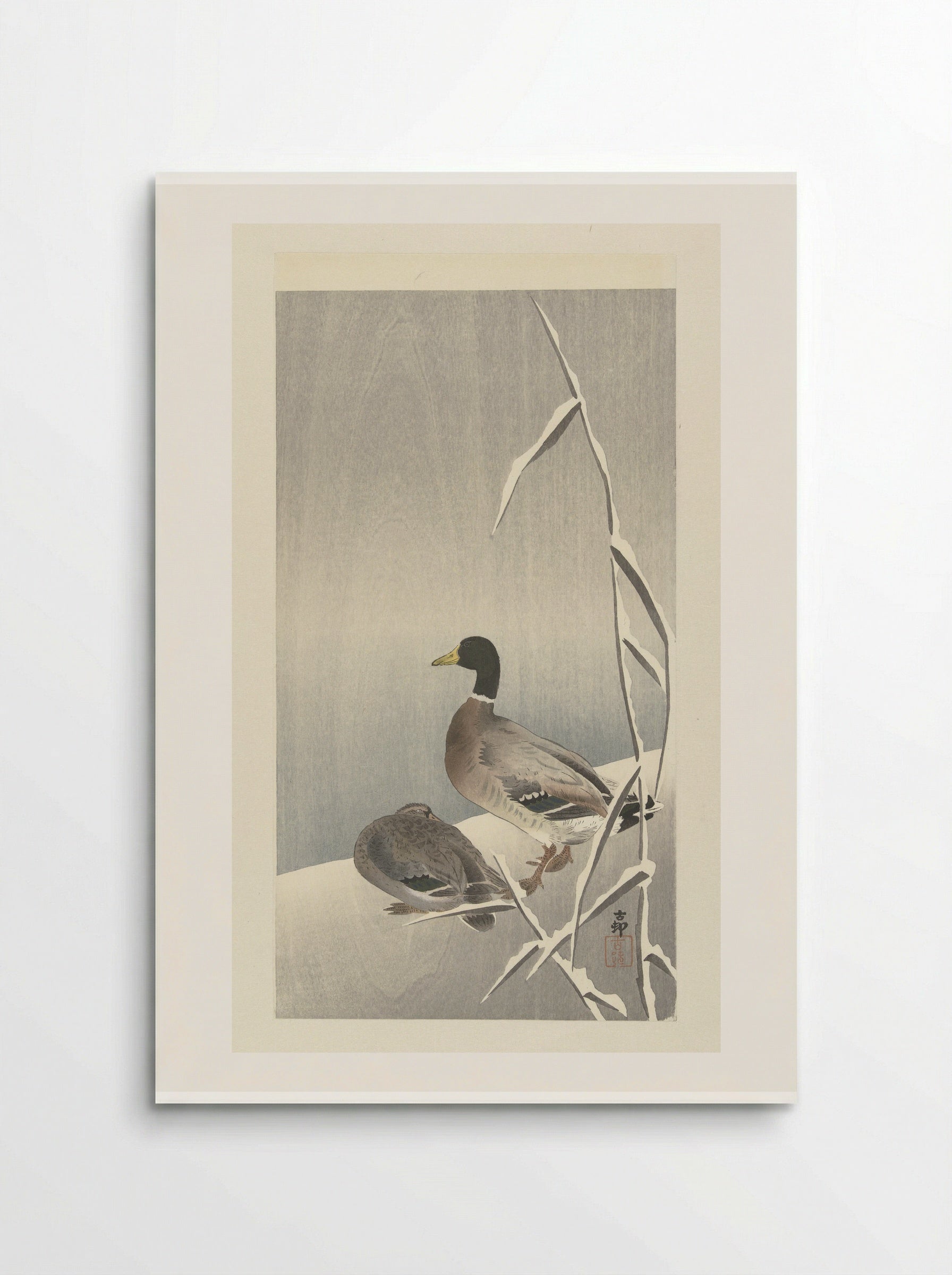 Two Ducks on a Snowy Reed Bank - Matsuki Heikichi - Poster