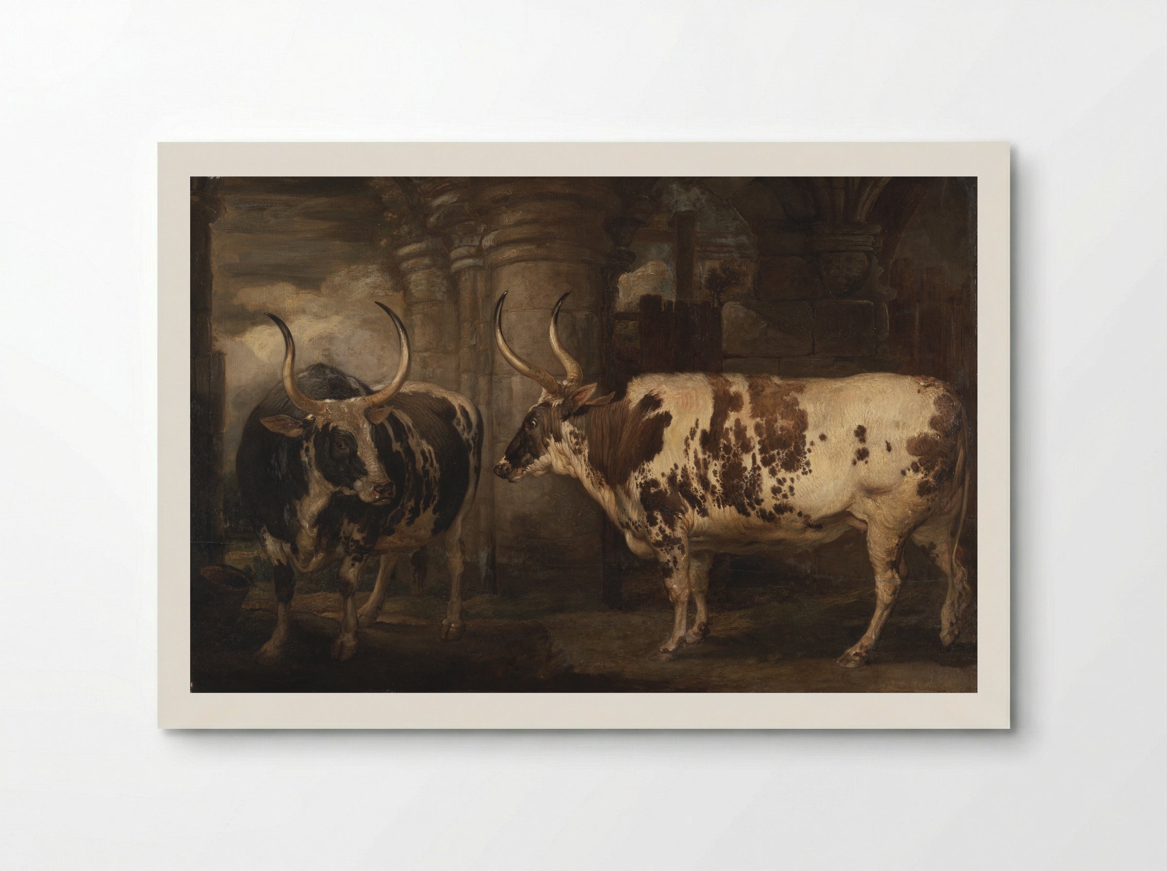 Two Extraordinary Oxen, the Property of the Earl of Powis - James Ward - Poster