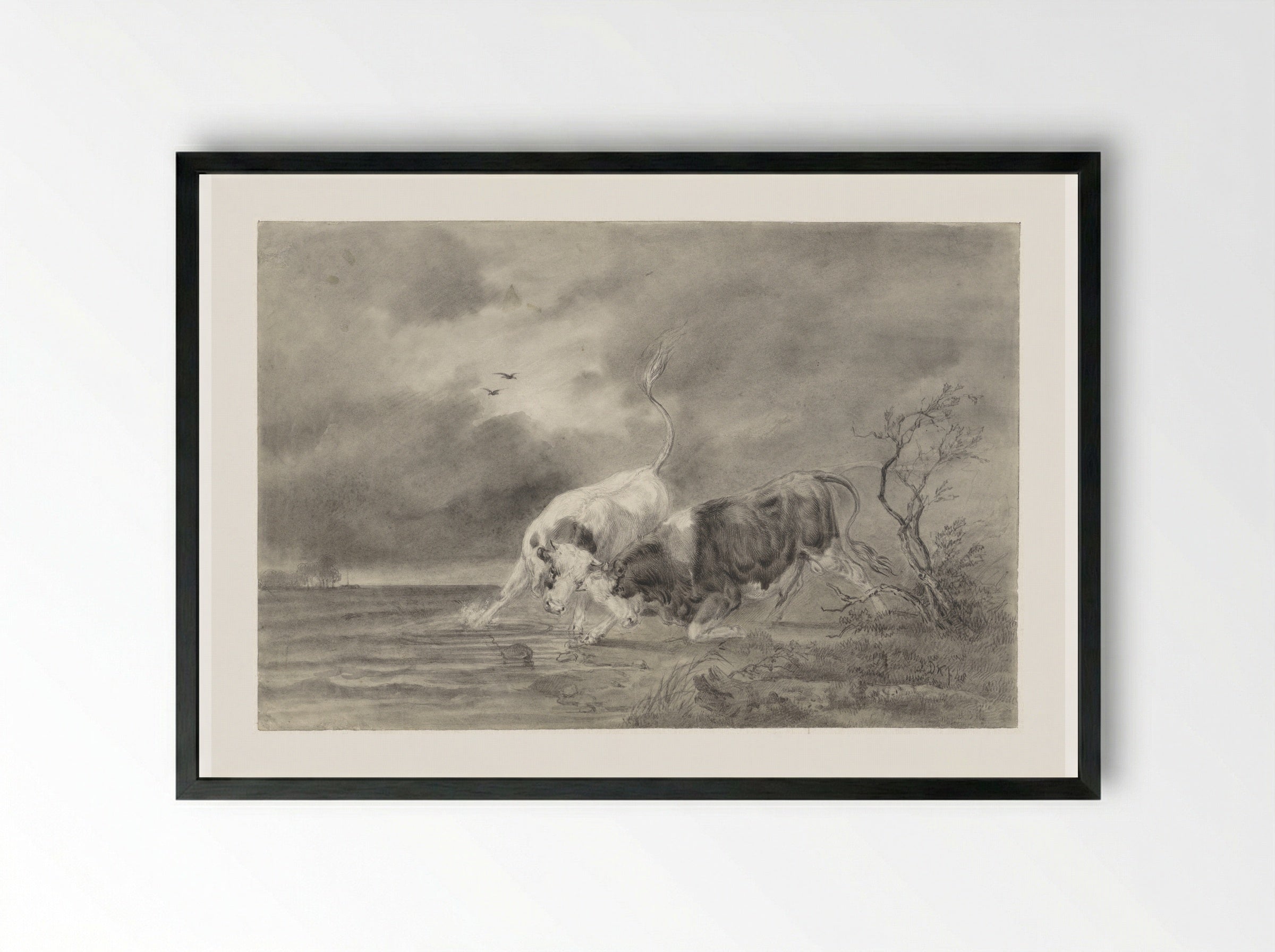 Two Fighting Bulls in a River Landscape - Johan Daniël Koelman - Framed Print Black