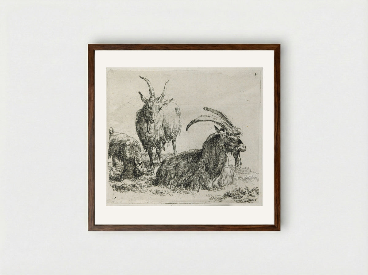 Two Goats and a Kid - Nicolaes Berchem - Framed Print Dark Wood