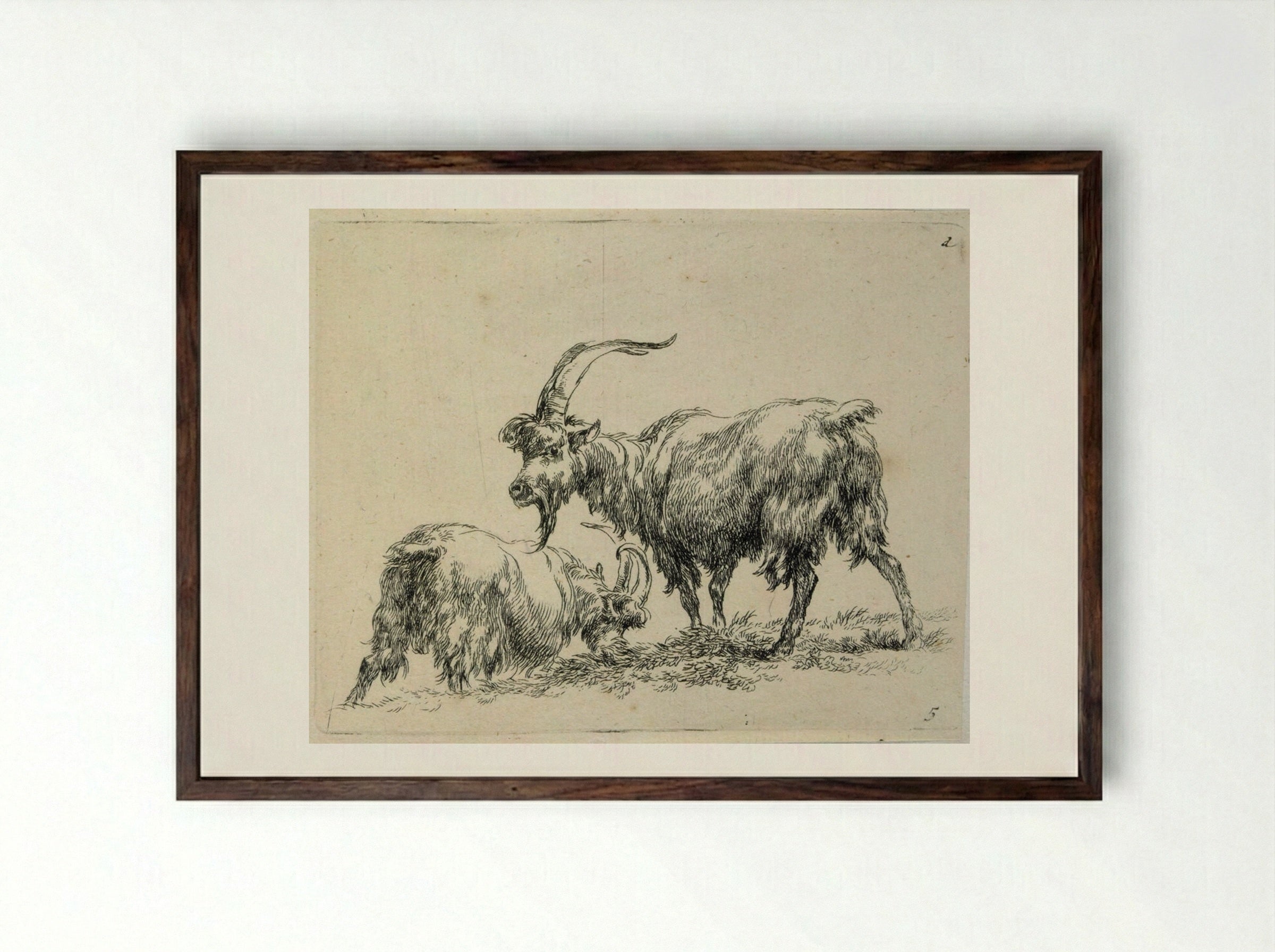 Two Goats: One Grazing, One Standing - Nicolaes Berchem the Elder - Framed Print Dark Wood