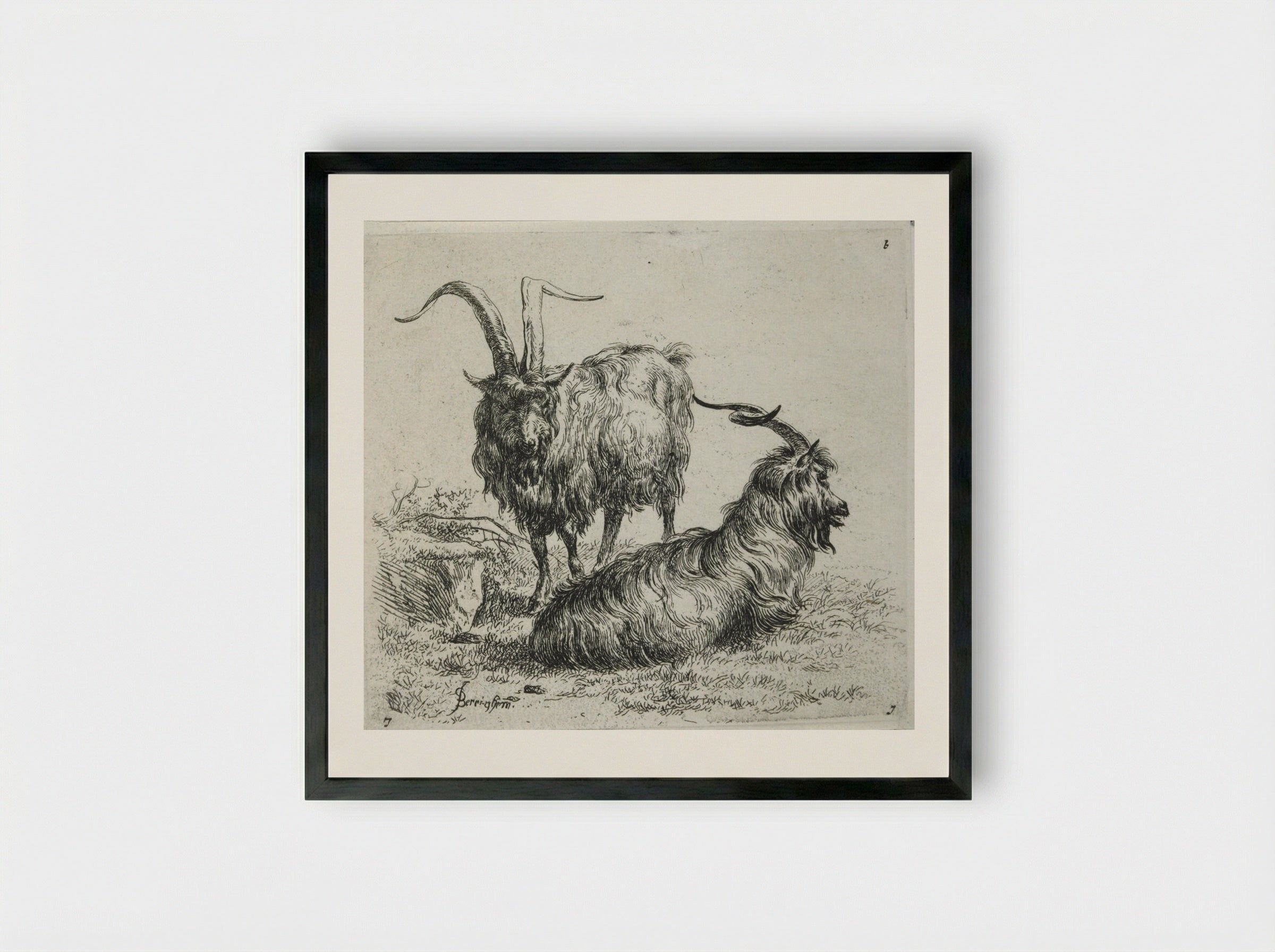 Two Goats - Nicolaes Berchem - Framed Print Black