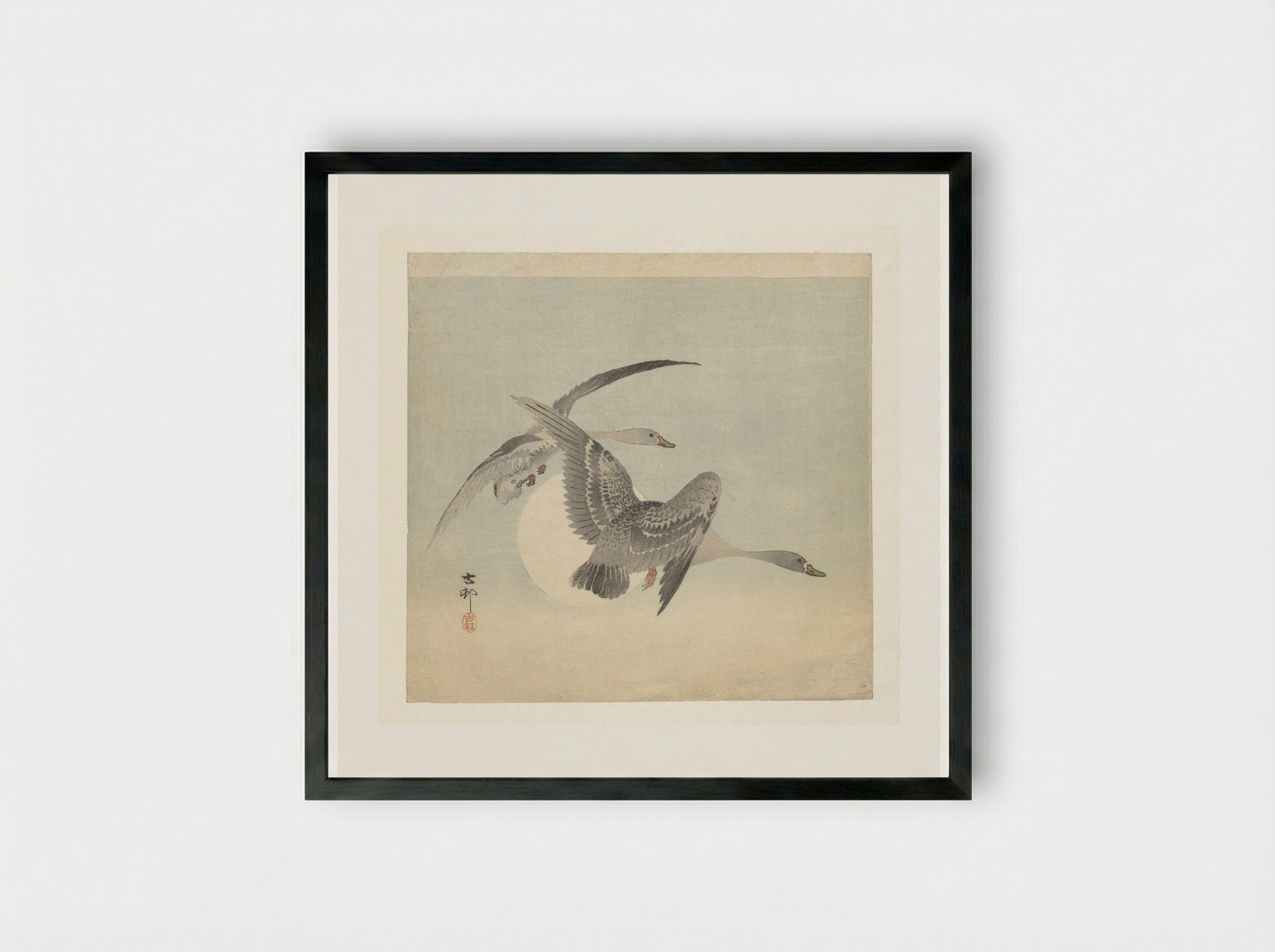 Two Greater White-fronted Geese in Flight - Matsuki Heikichi - Framed Print Black