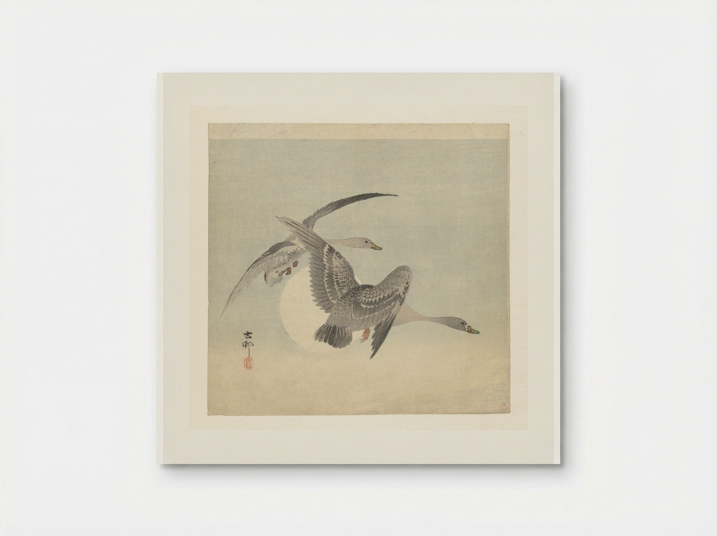 Two Greater White-fronted Geese in Flight - Matsuki Heikichi - Poster