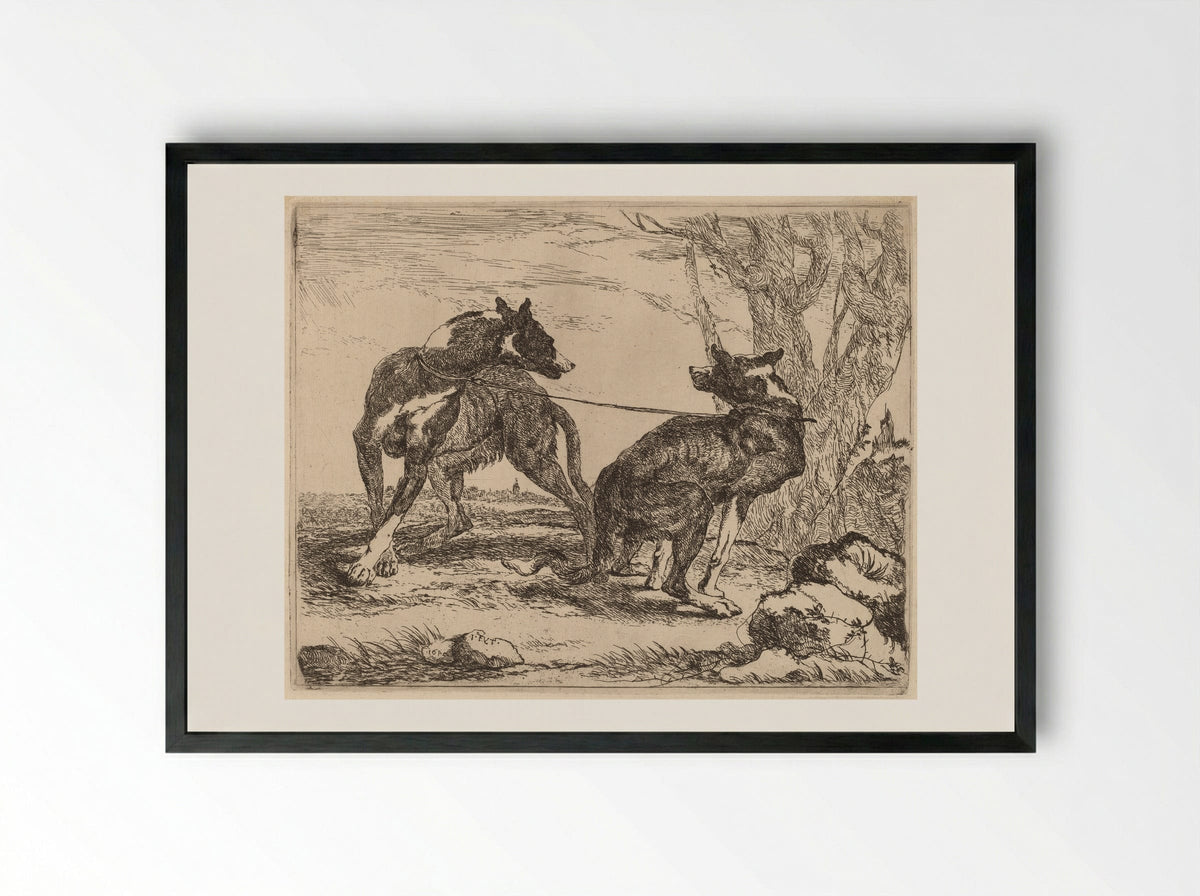 Two Greyhounds - Jan Fyt - Framed Print Black