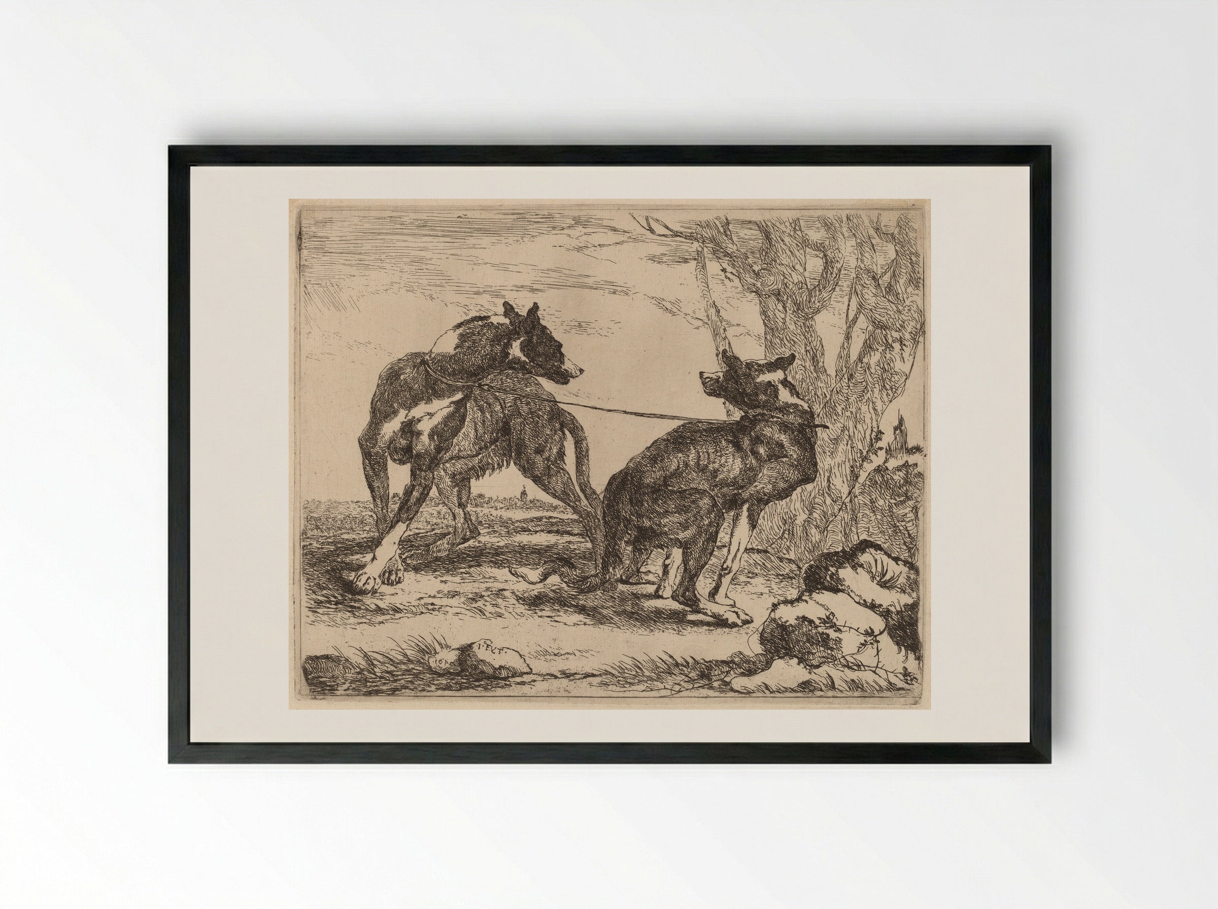 Two Greyhounds - Jan Fyt - Framed Print Black