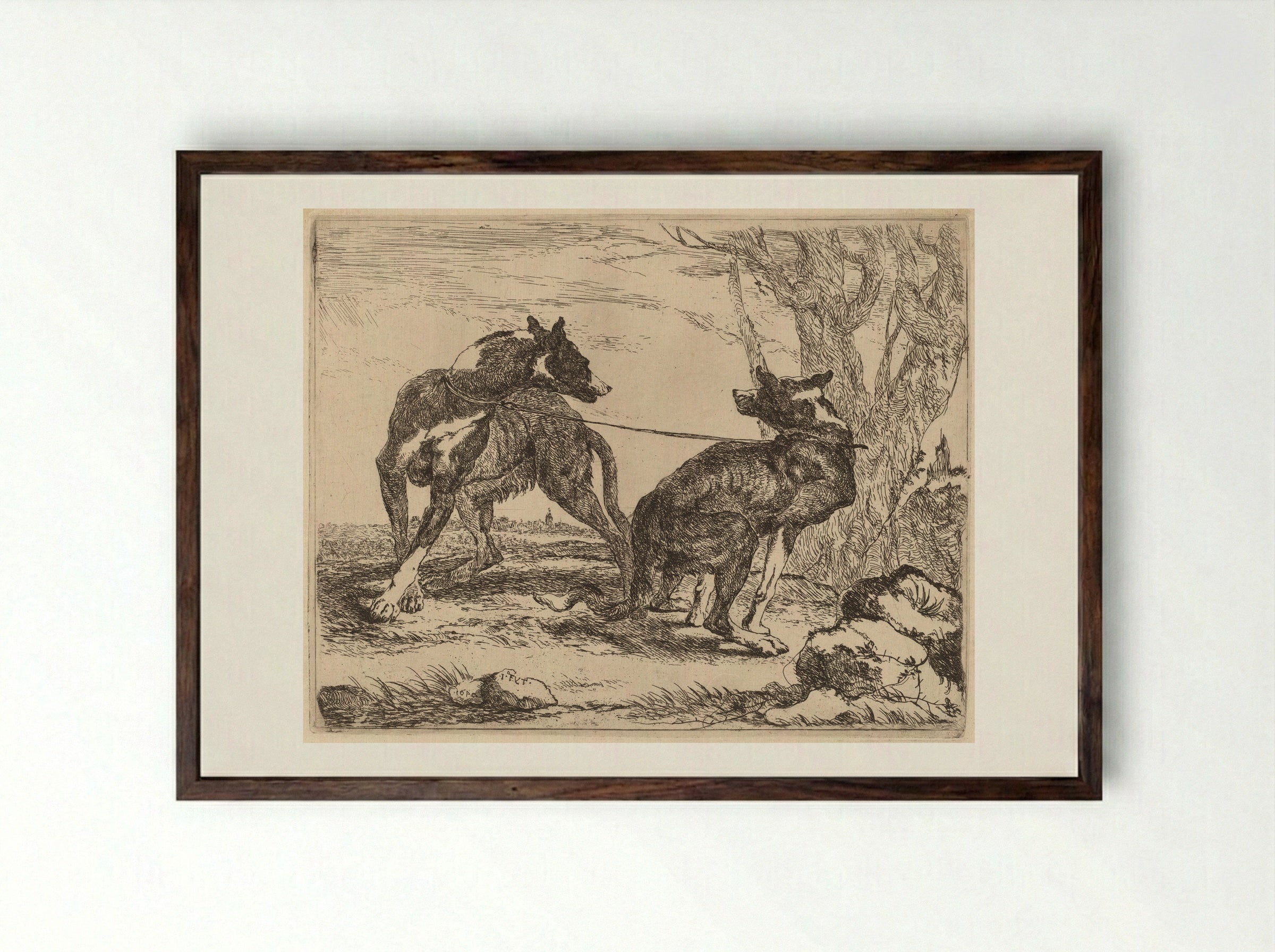 Two Greyhounds - Jan Fyt - Framed Print Dark Wood