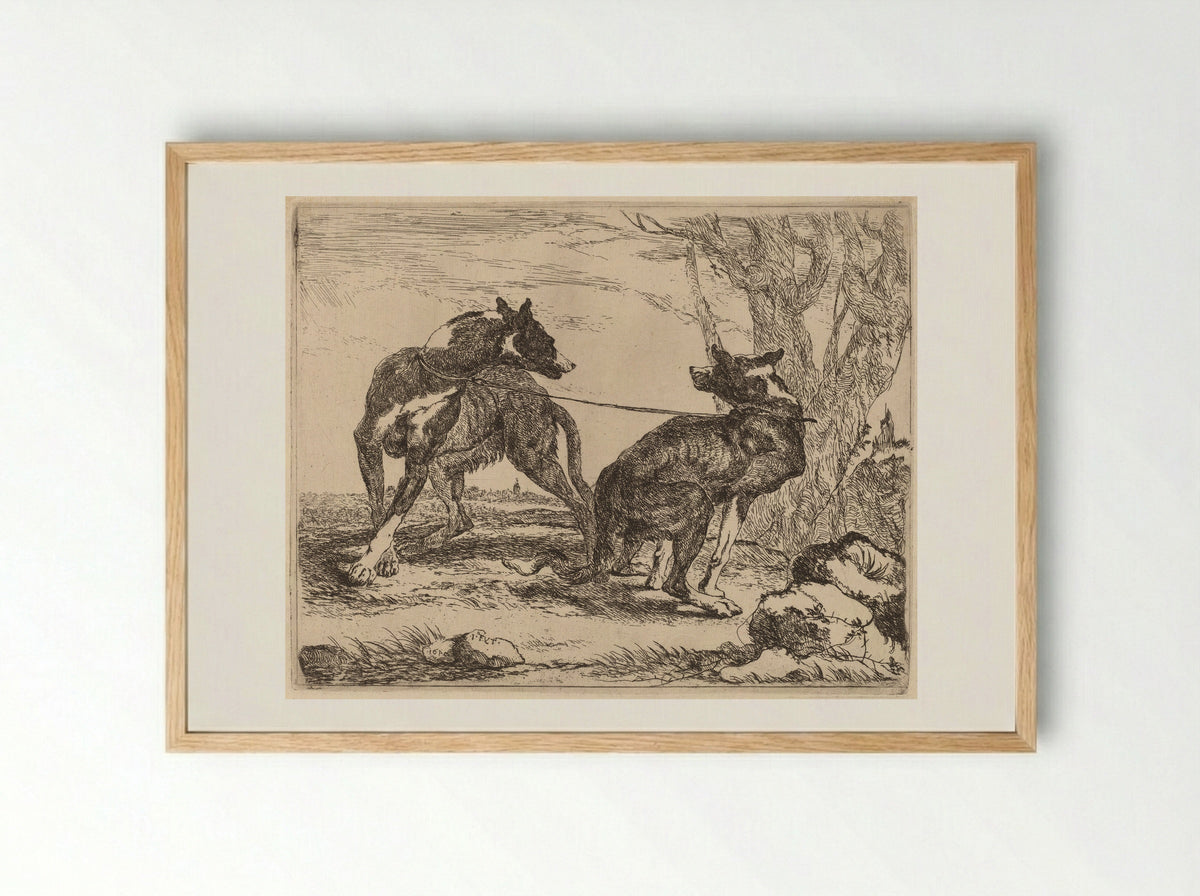 Two Greyhounds - Jan Fyt - Framed Print Wood