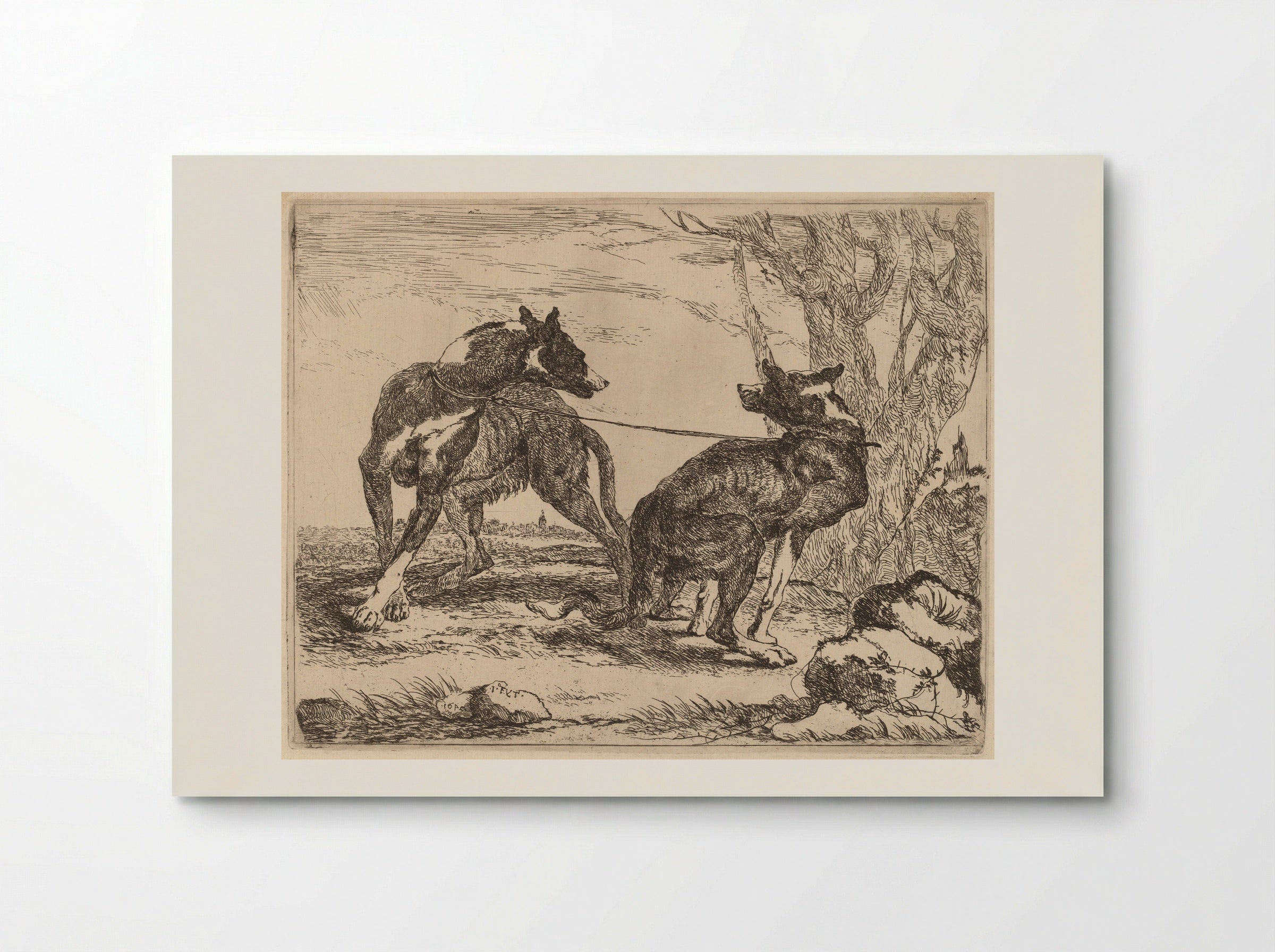 Two Greyhounds - Jan Fyt - Poster
