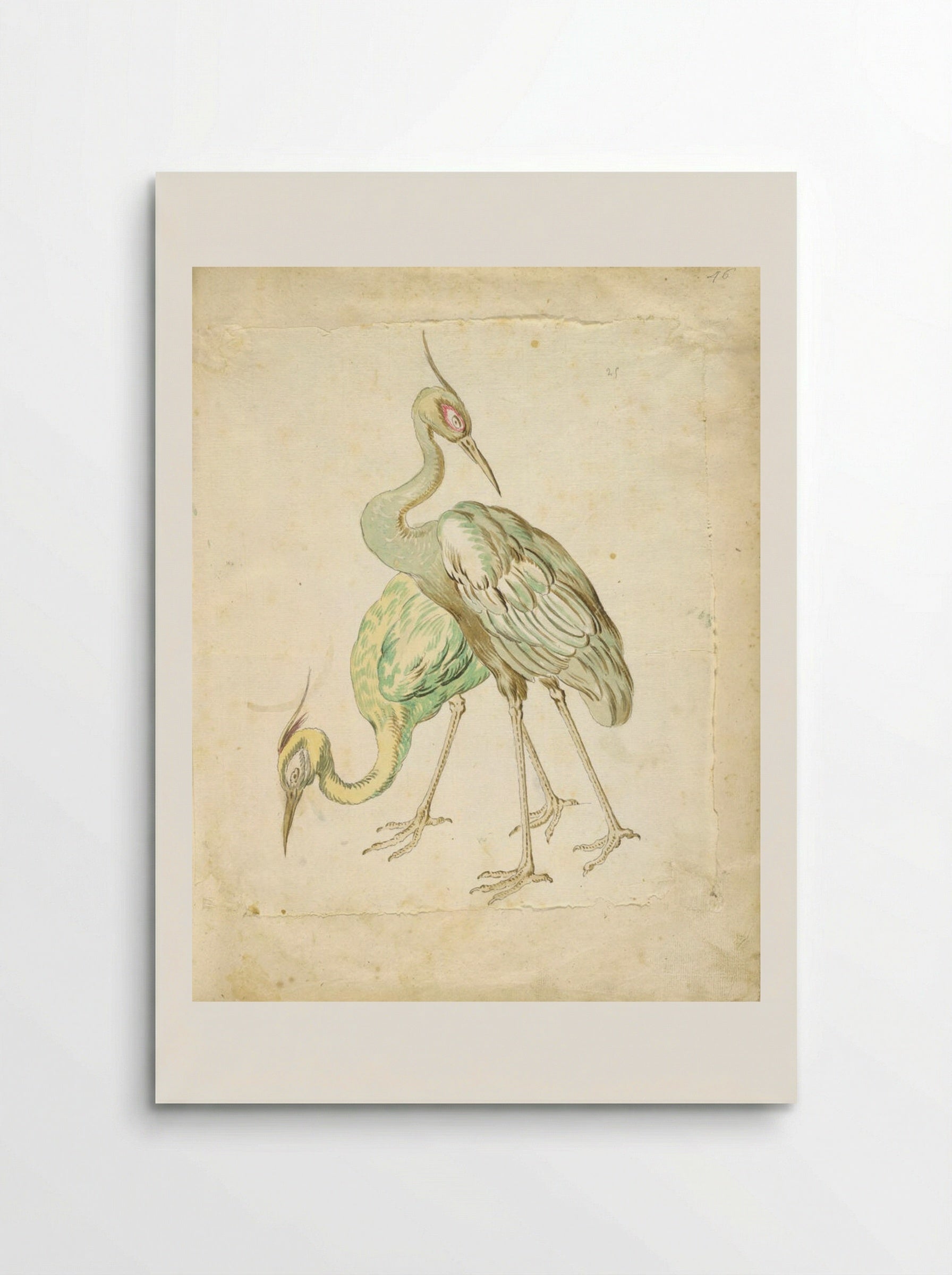 Two Herons - Jean-Baptiste Oudry - Poster