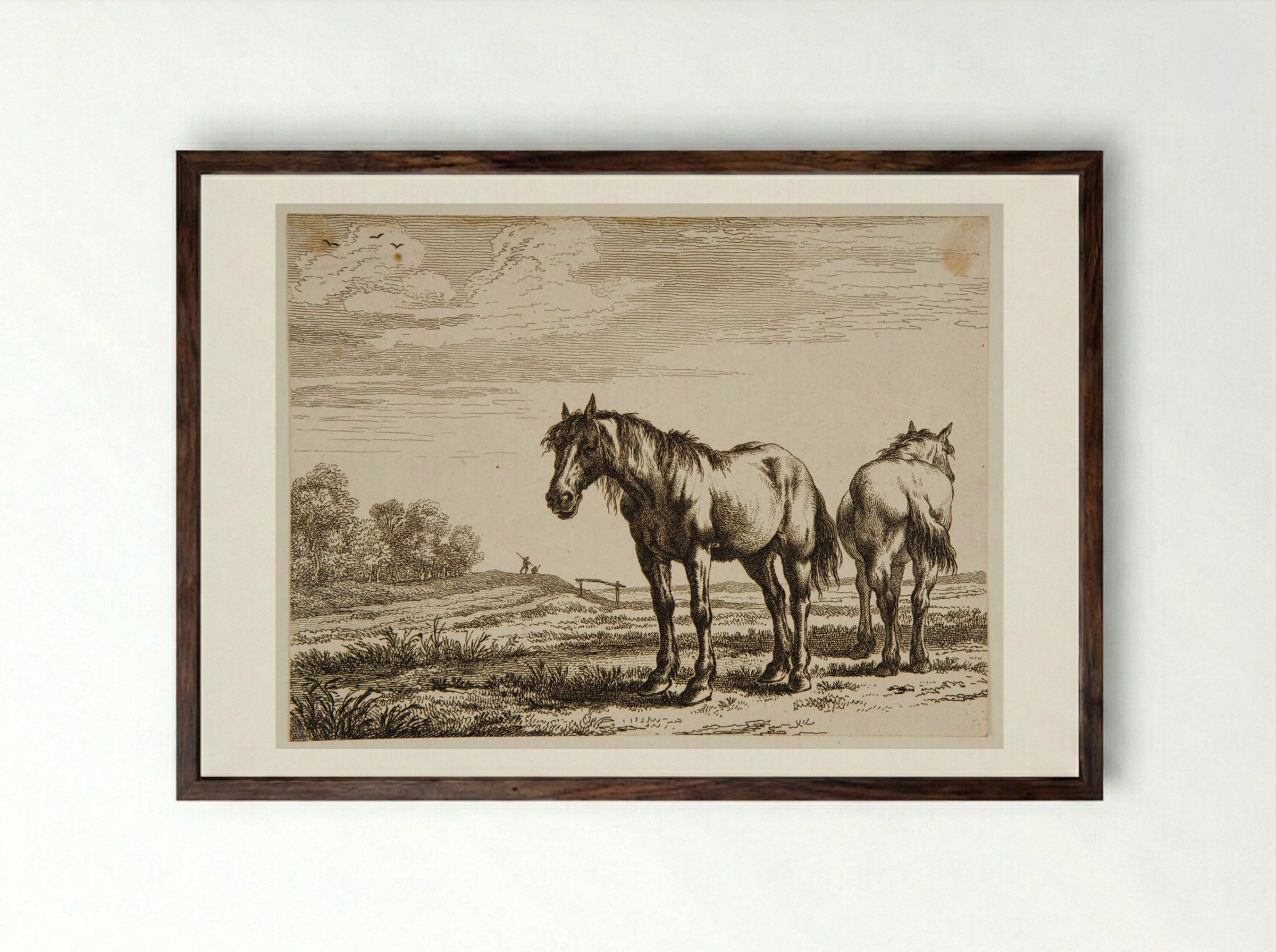 Two Horses - Paulus Potter - Framed Print Dark Wood