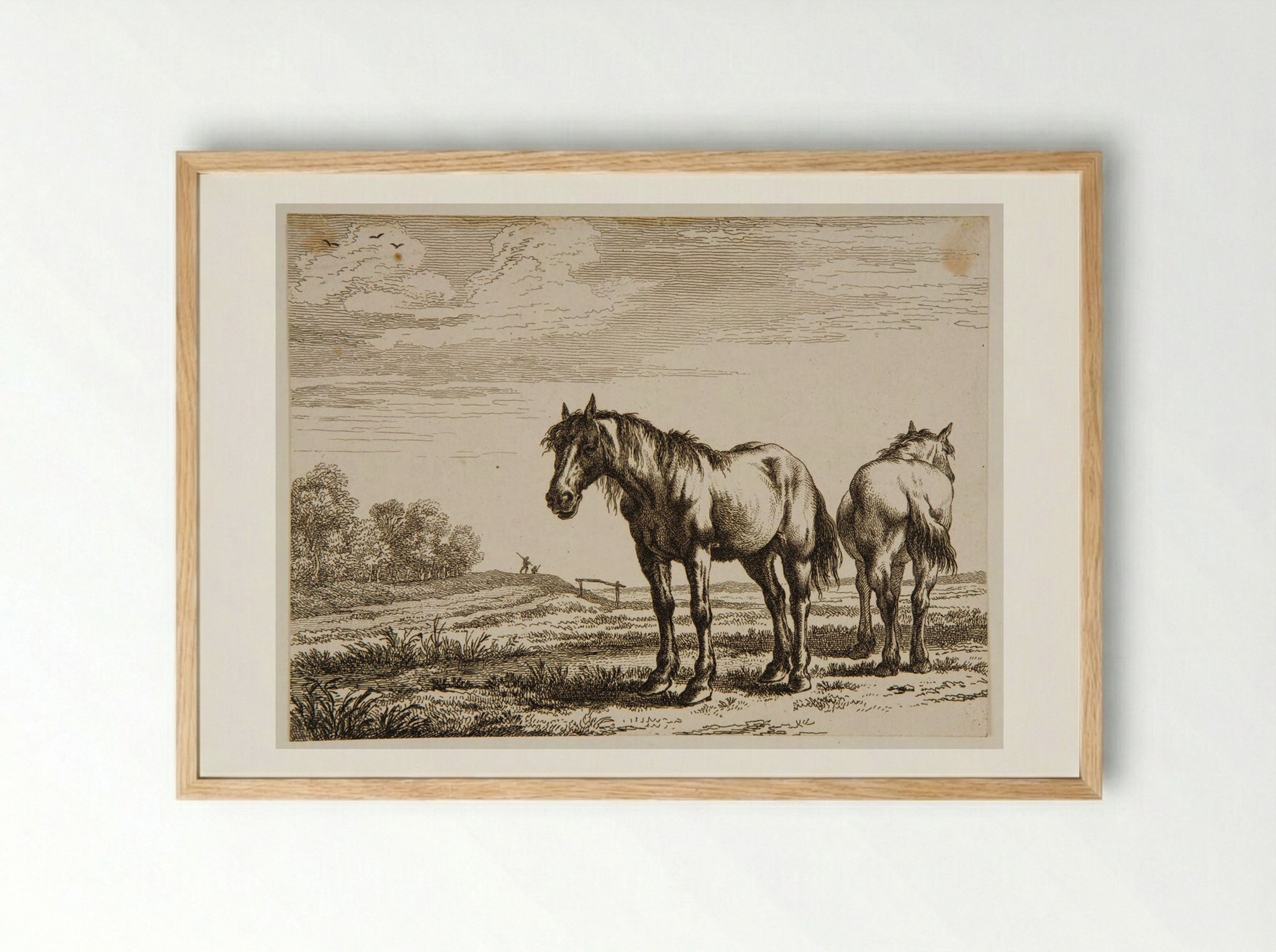 Two Horses - Paulus Potter - Framed Print Wood