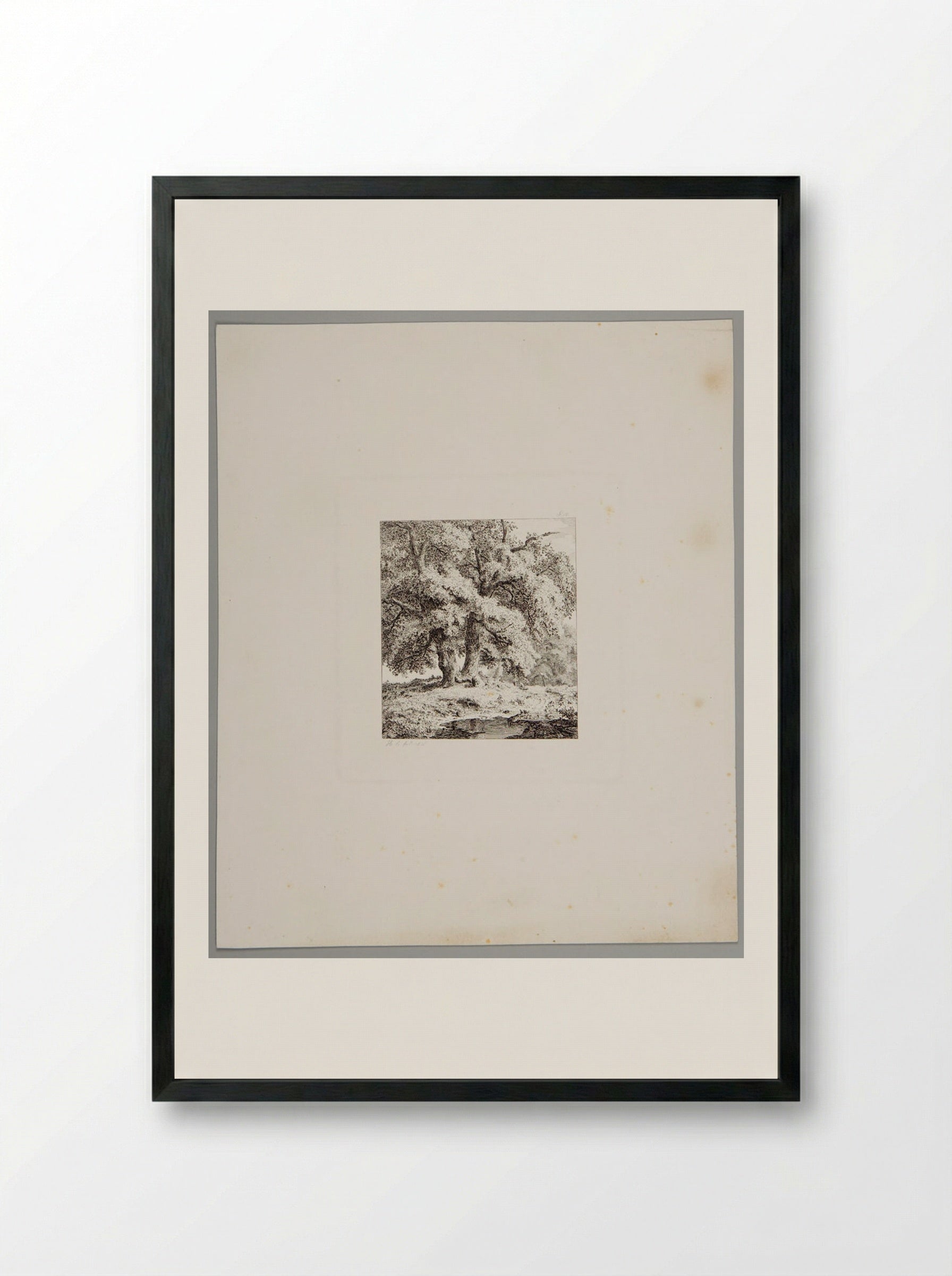 Two Oaks - Johann Hermann Carmiencke - Framed Print Black