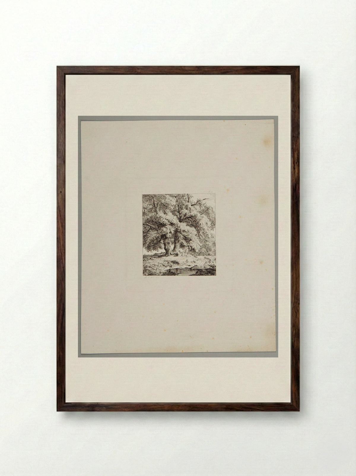 Two Oaks - Johann Hermann Carmiencke - Framed Print Dark Wood