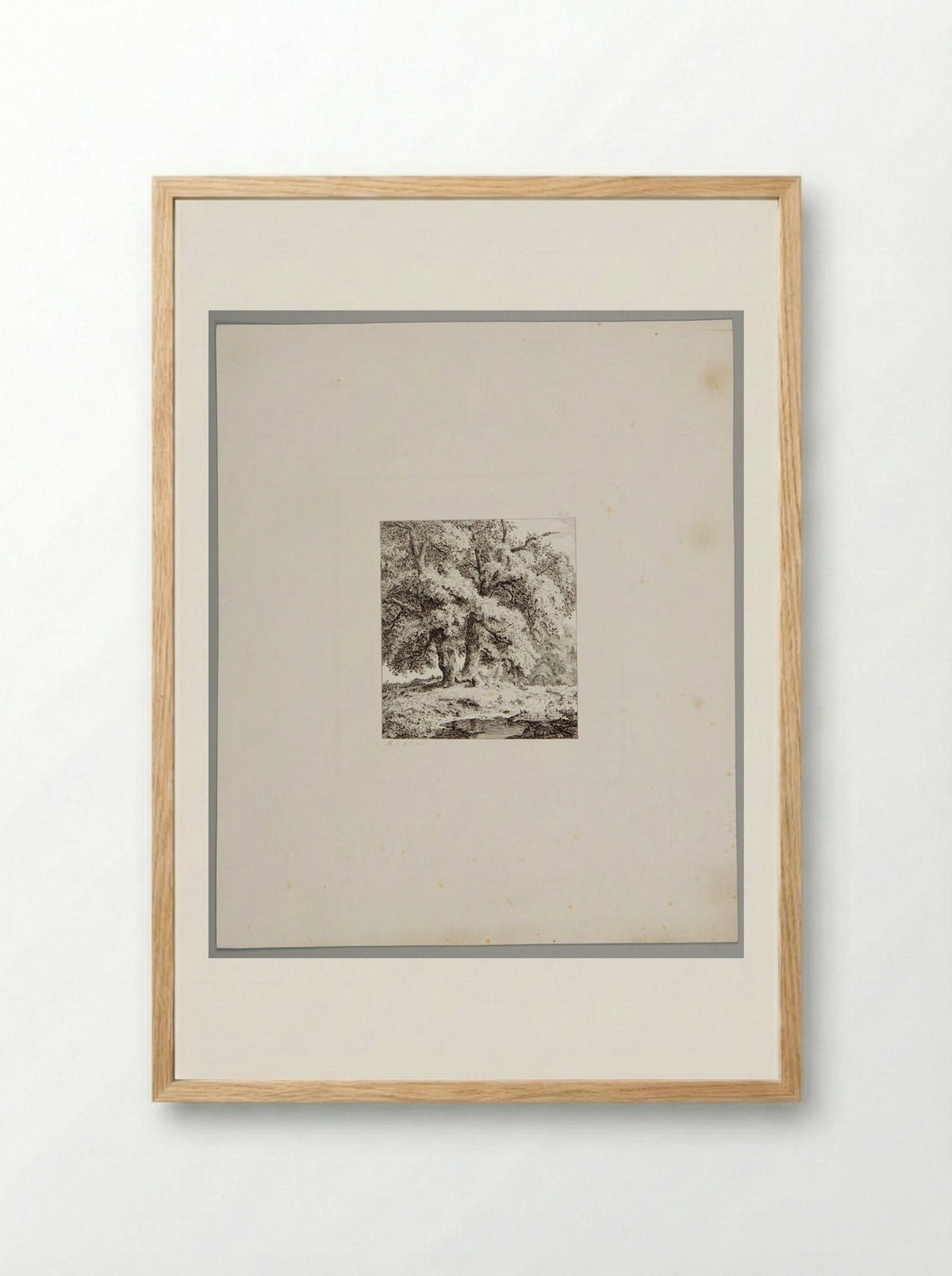 Two Oaks - Johann Hermann Carmiencke - Framed Print Wood