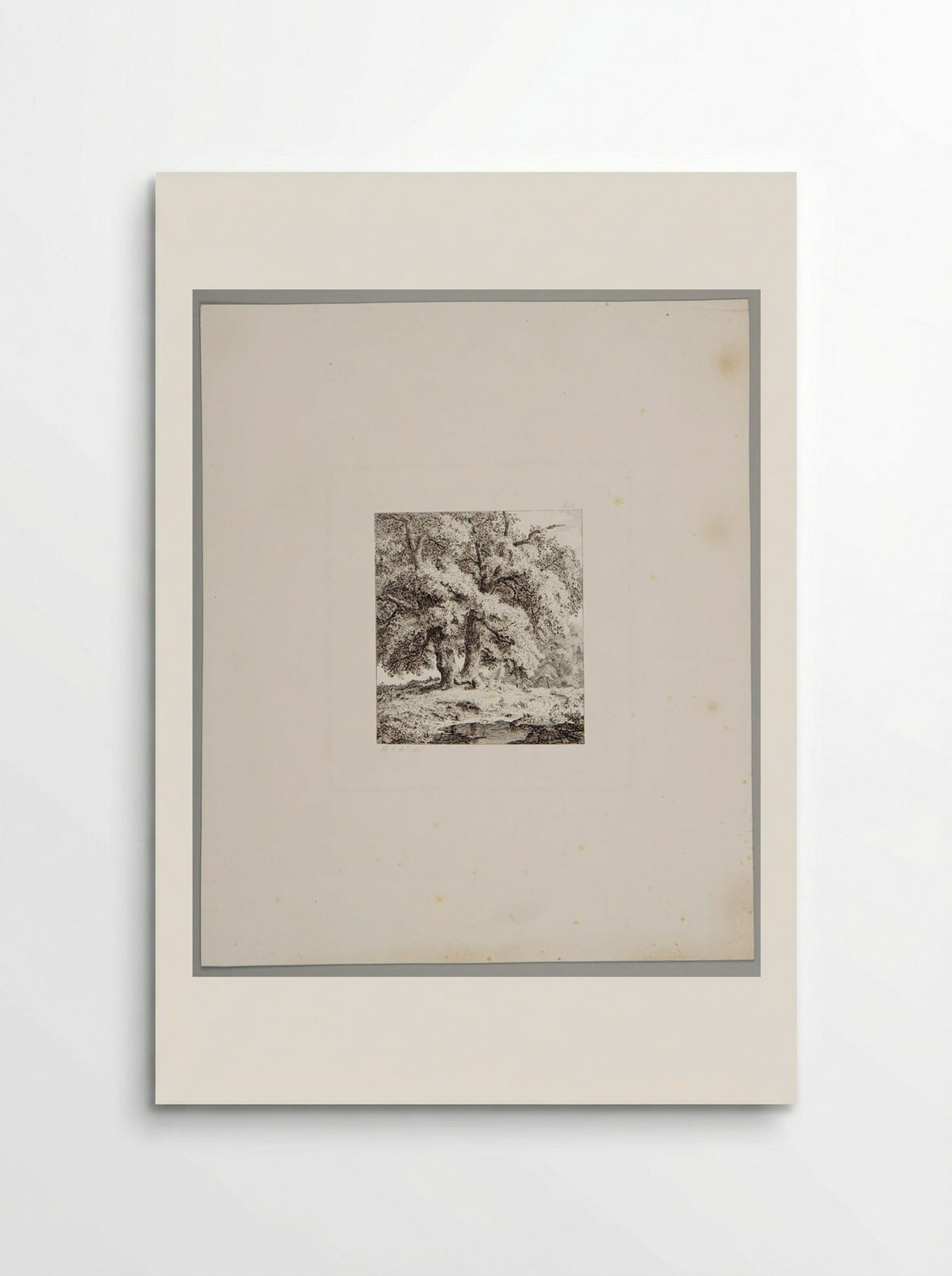 Two Oaks - Johann Hermann Carmiencke - Poster