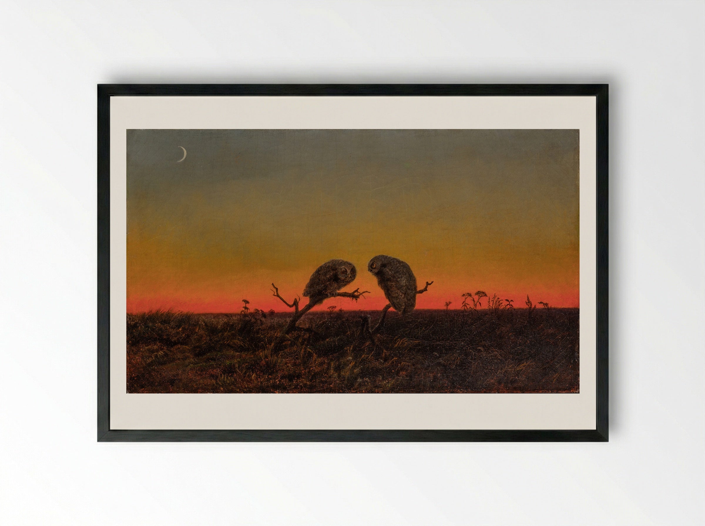 Two Owls at Sunset - Fine Art Print - Framed Print Black
