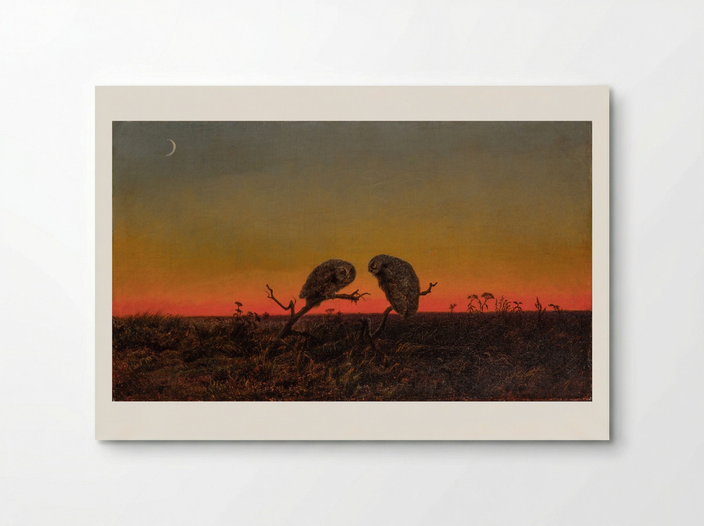 Two Owls at Sunset - Fine Art Print - Poster