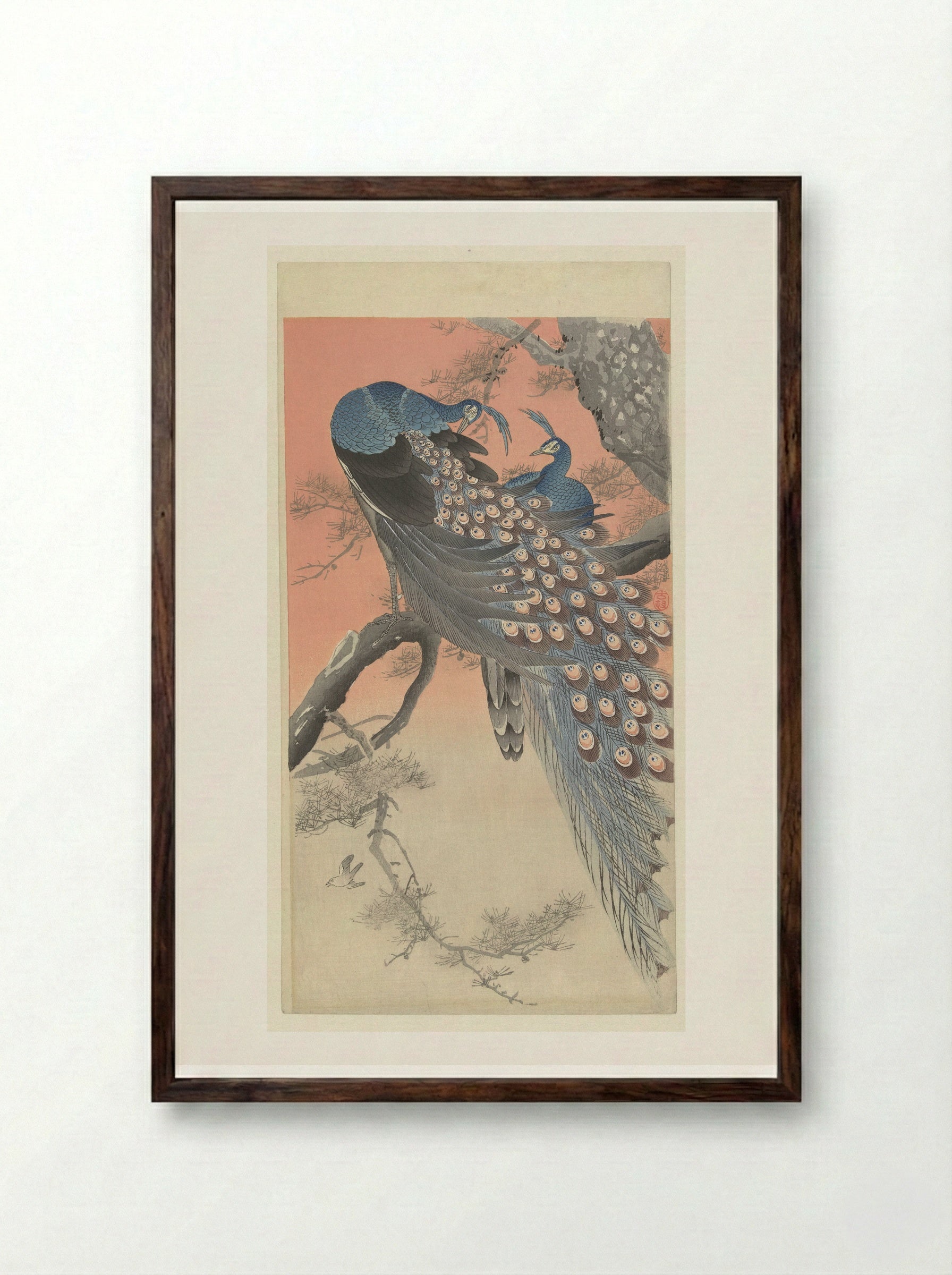 Two Peacocks on a Pine Branch - Matsuki Heikichi - Framed Print Dark Wood