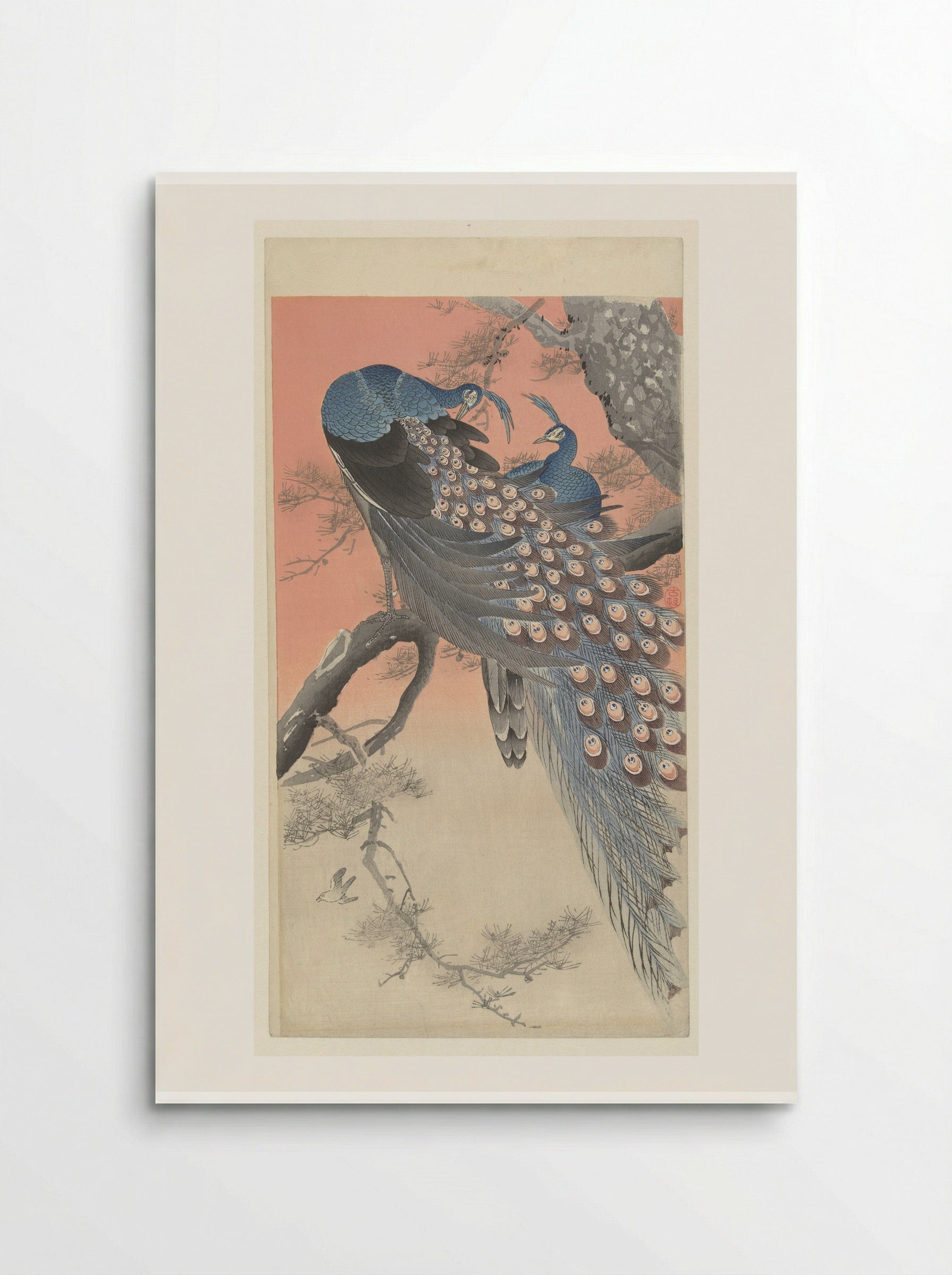 Two Peacocks on a Pine Branch - Matsuki Heikichi - Poster