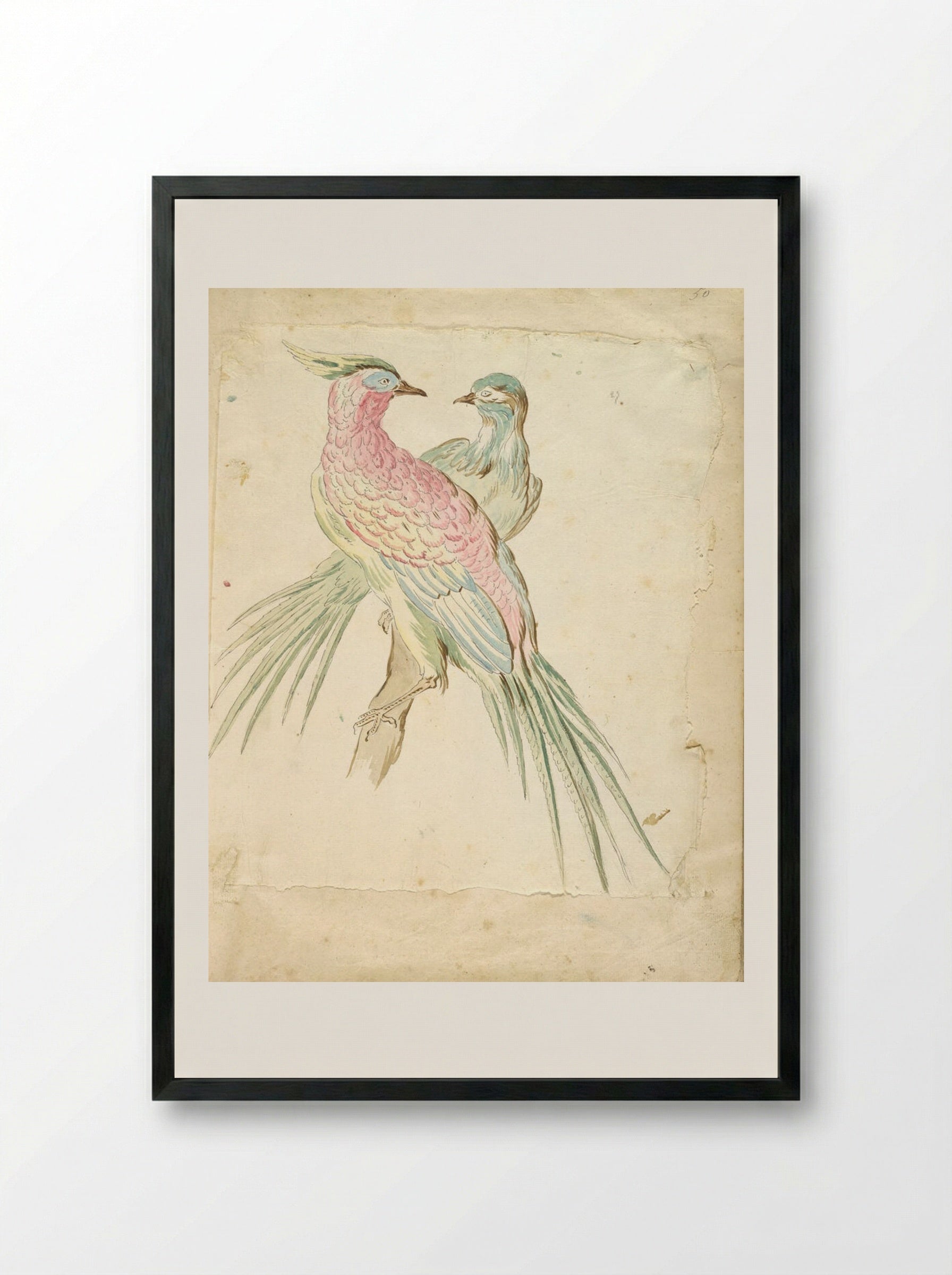 Two Pheasants Perched on a Branch - Jean-Baptiste Oudry - Framed Print Black