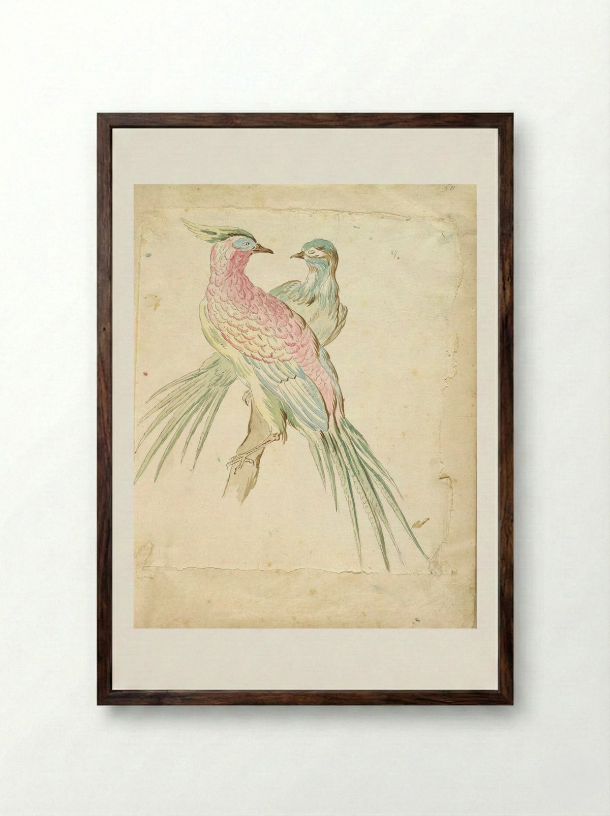 Two Pheasants Perched on a Branch - Jean-Baptiste Oudry - Framed Print Dark Wood