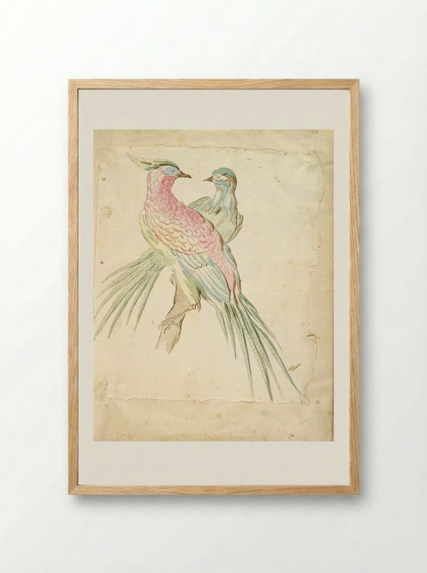 Two Pheasants Perched on a Branch - Jean-Baptiste Oudry - Framed Print Wood