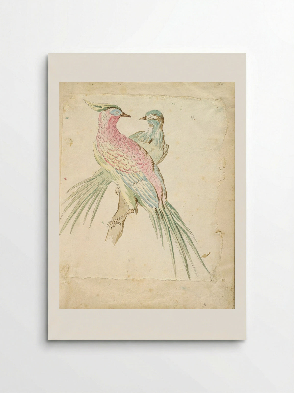 Two Pheasants Perched on a Branch - Jean-Baptiste Oudry - Poster