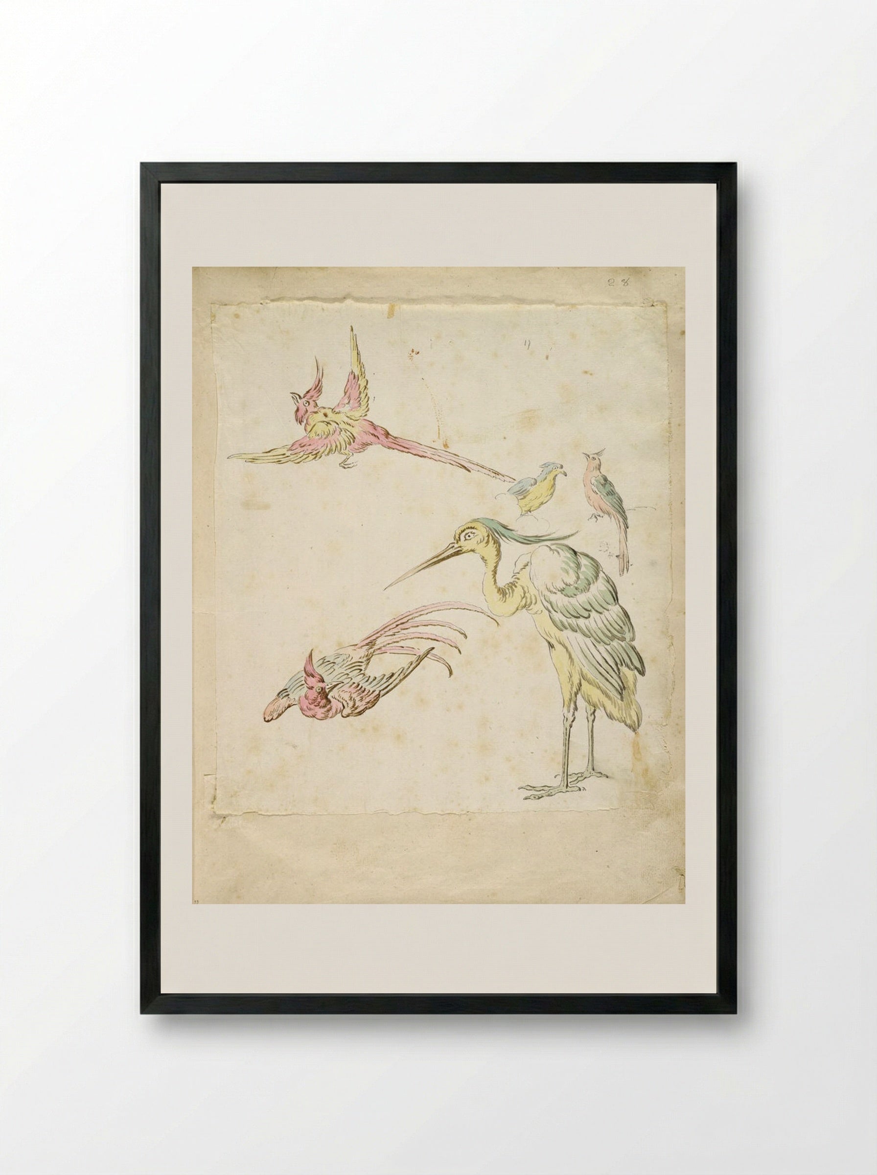 Two Pheasants in Flight, a Standing Heron and Two Small Birds - Jean-Baptiste Oudry - Framed Print Black