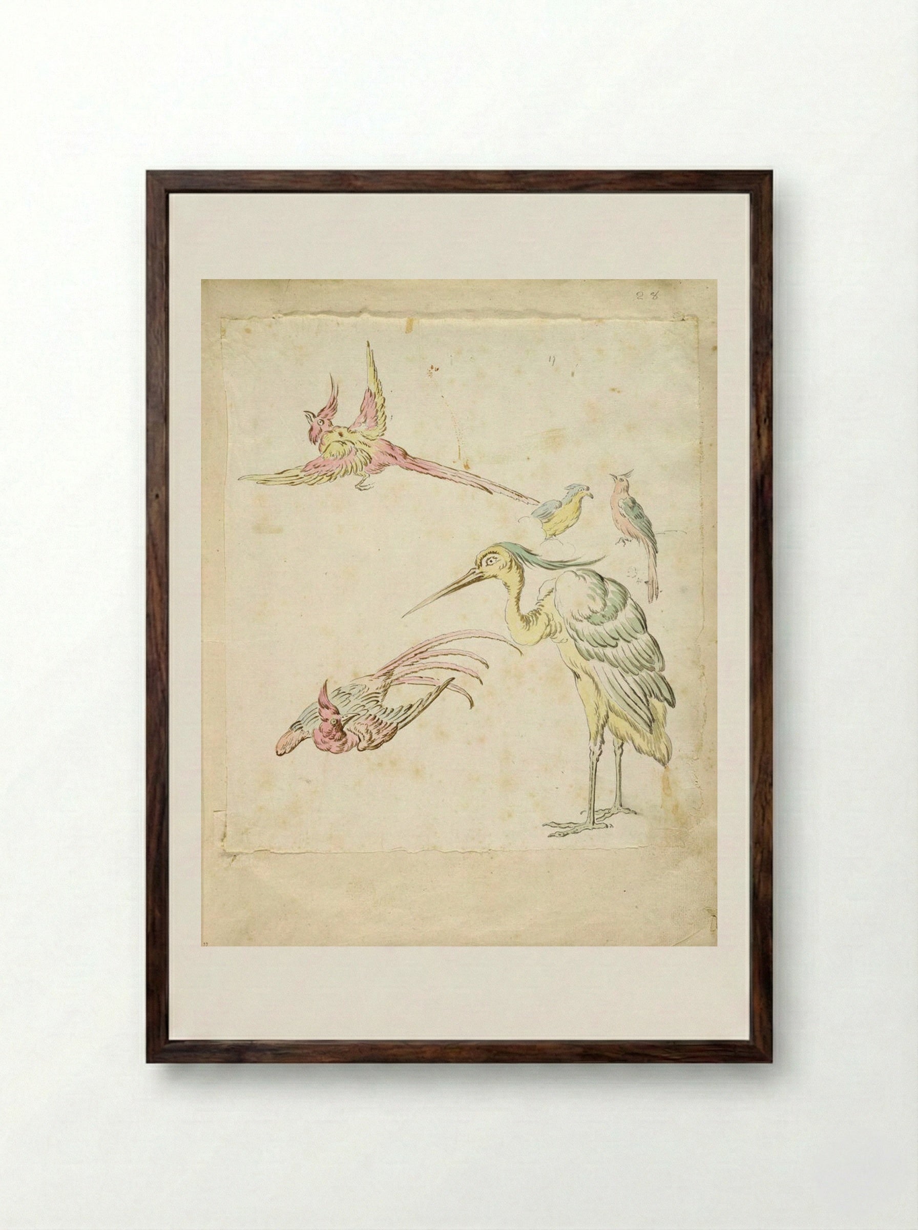 Two Pheasants in Flight, a Standing Heron and Two Small Birds - Jean-Baptiste Oudry - Framed Print Dark Wood
